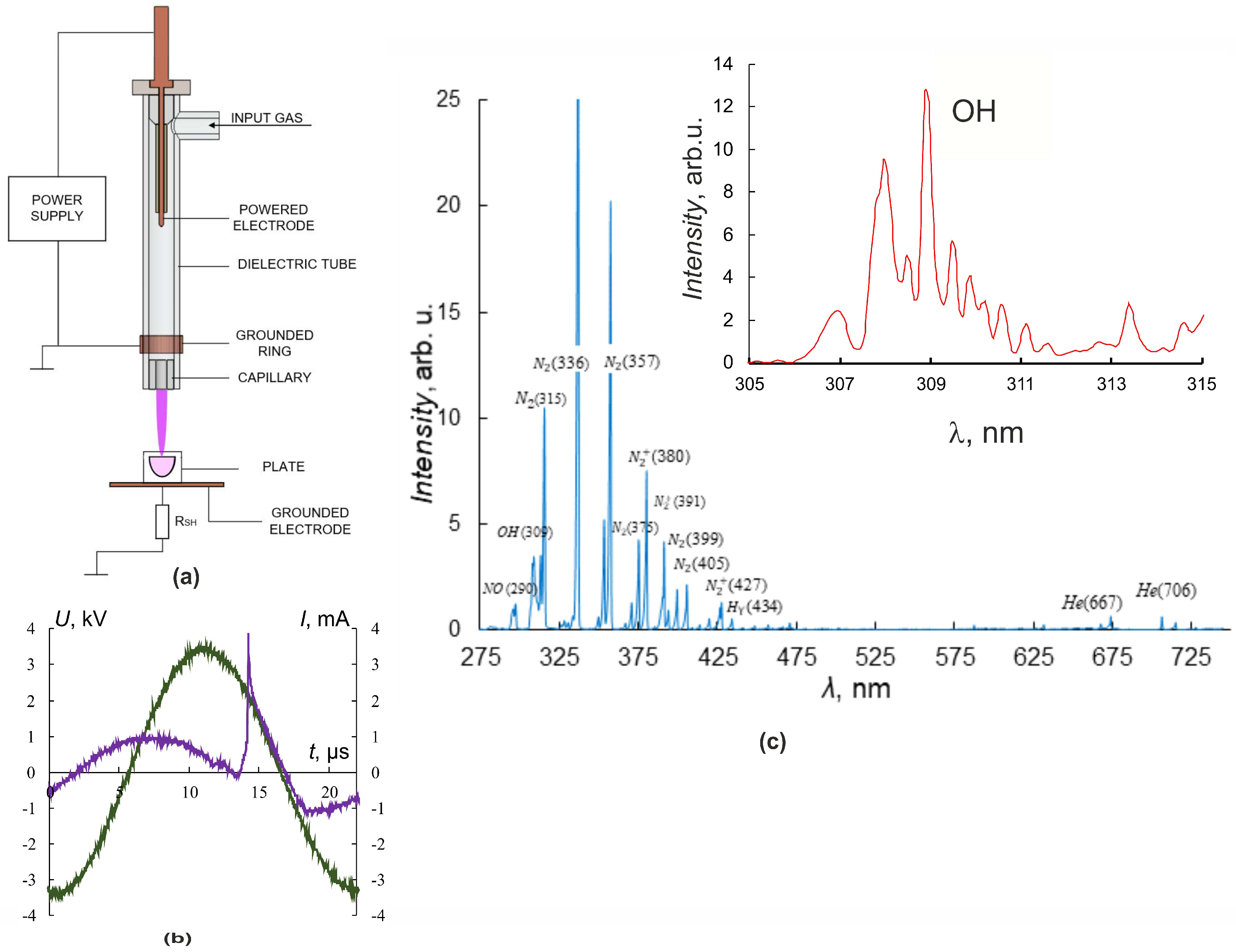 Biomolecules 13 01672 g001