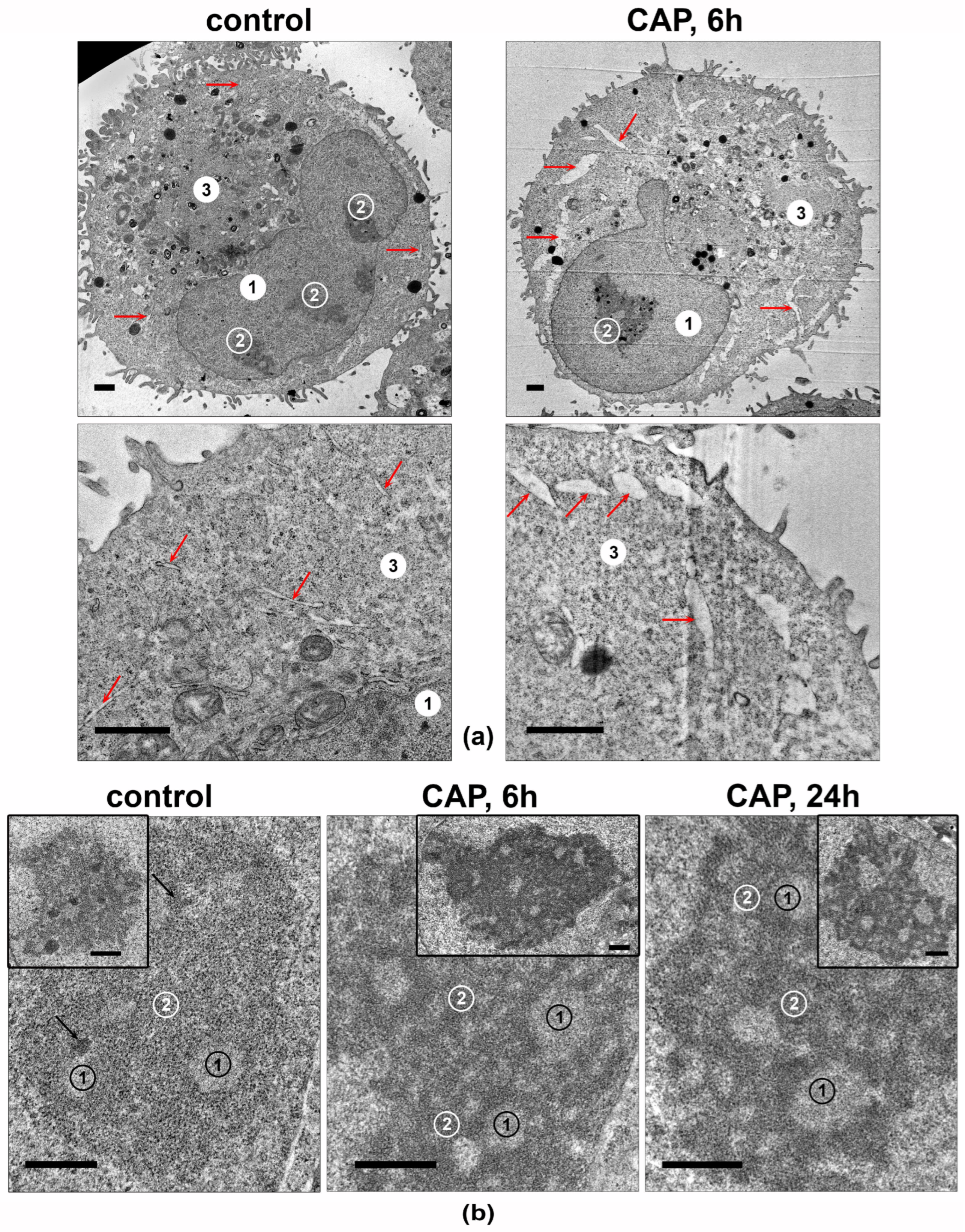 Biomolecules 13 01672 g009