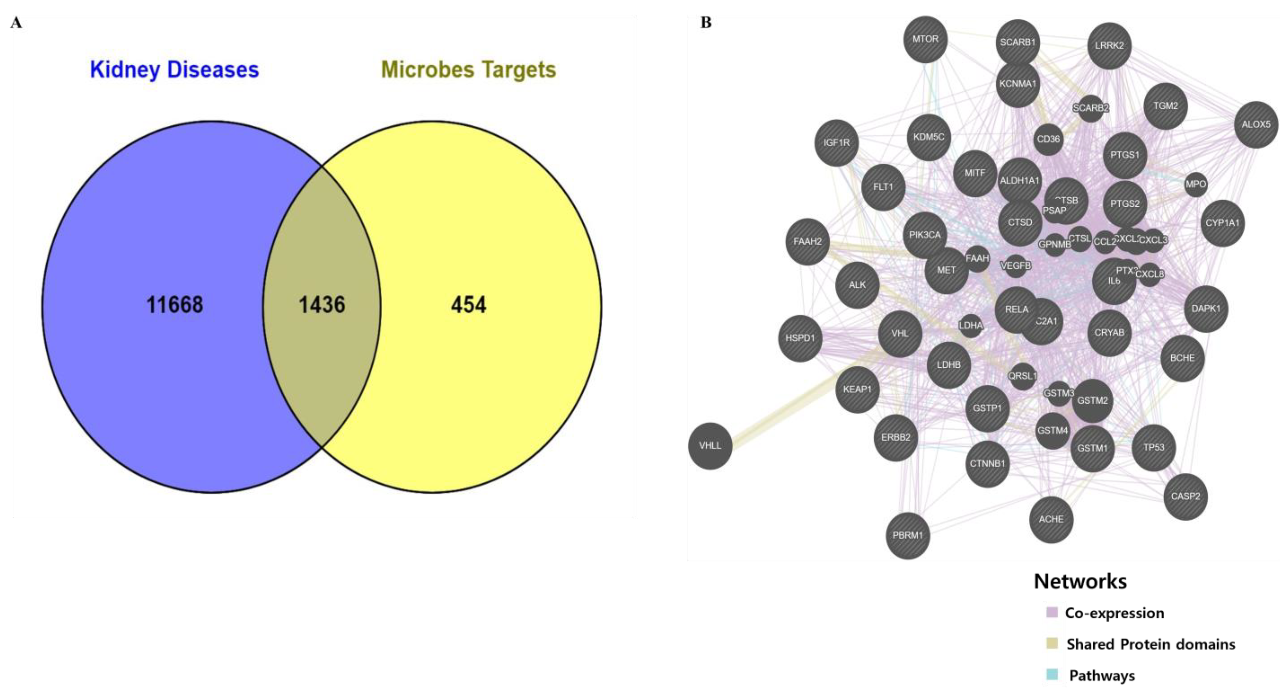 Biomolecules 13 01678 g001
