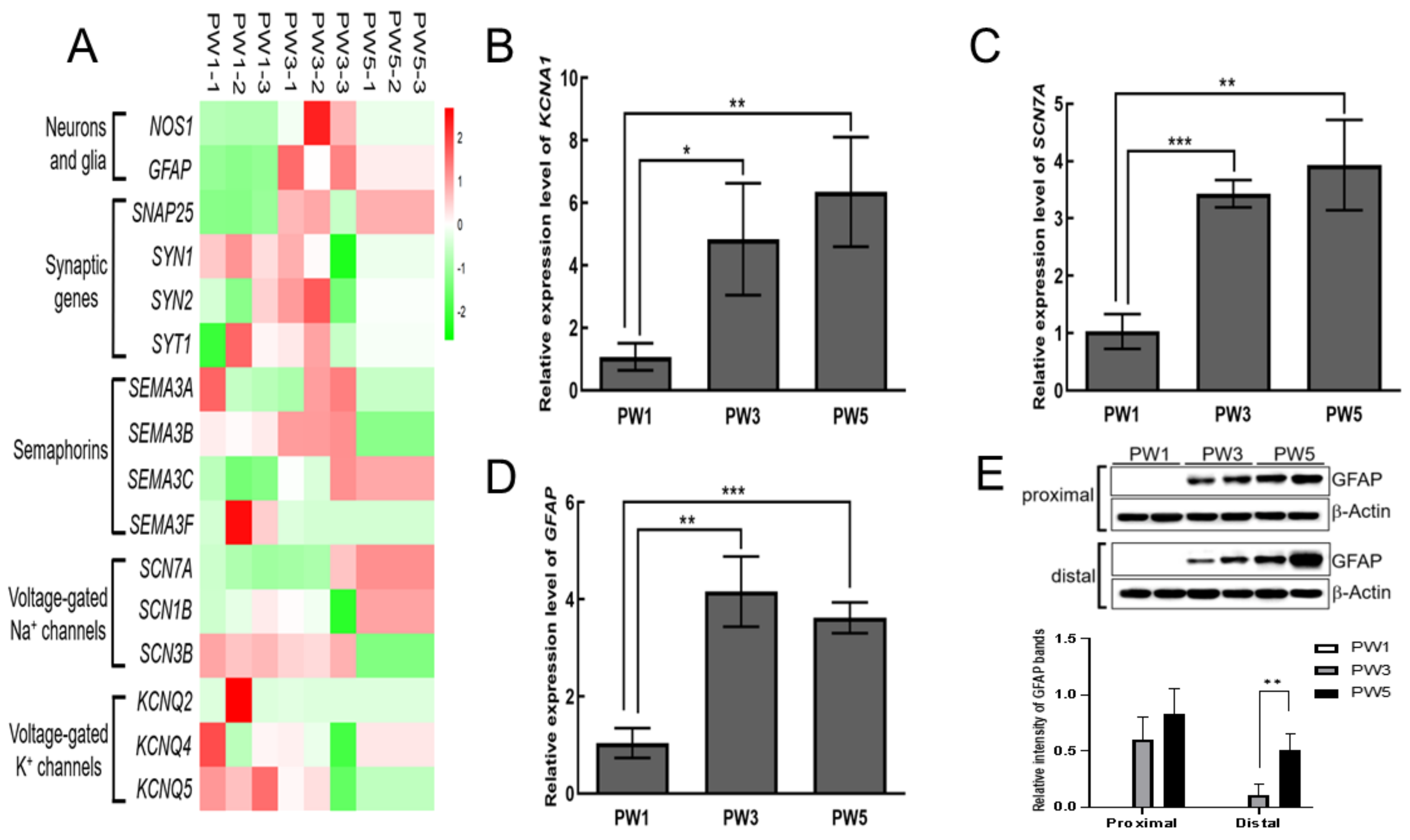 Biomolecules 13 01688 g001 Biomolecules 13 01688 g001