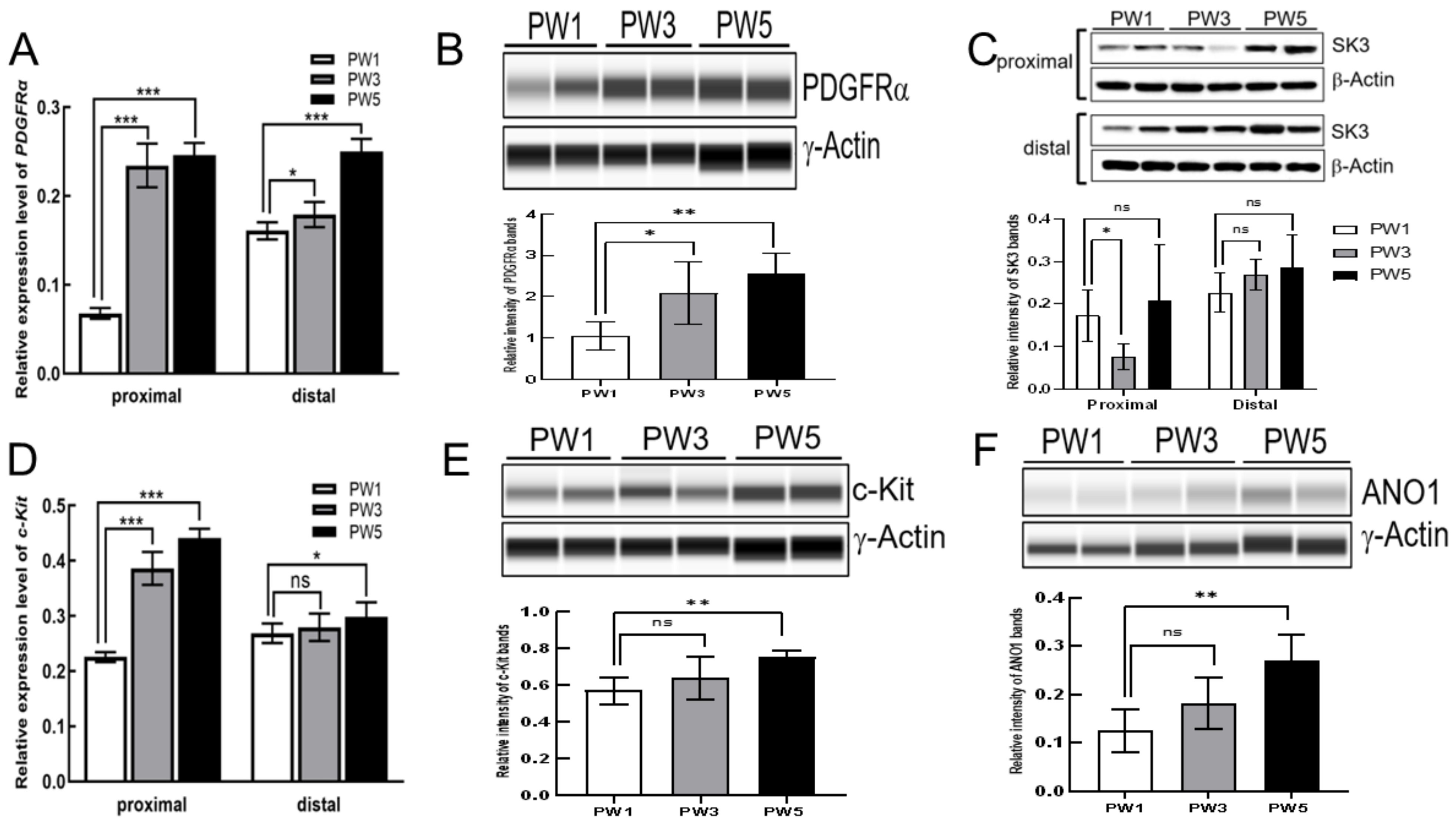 Biomolecules 13 01688 g002 Biomolecules 13 01688 g002