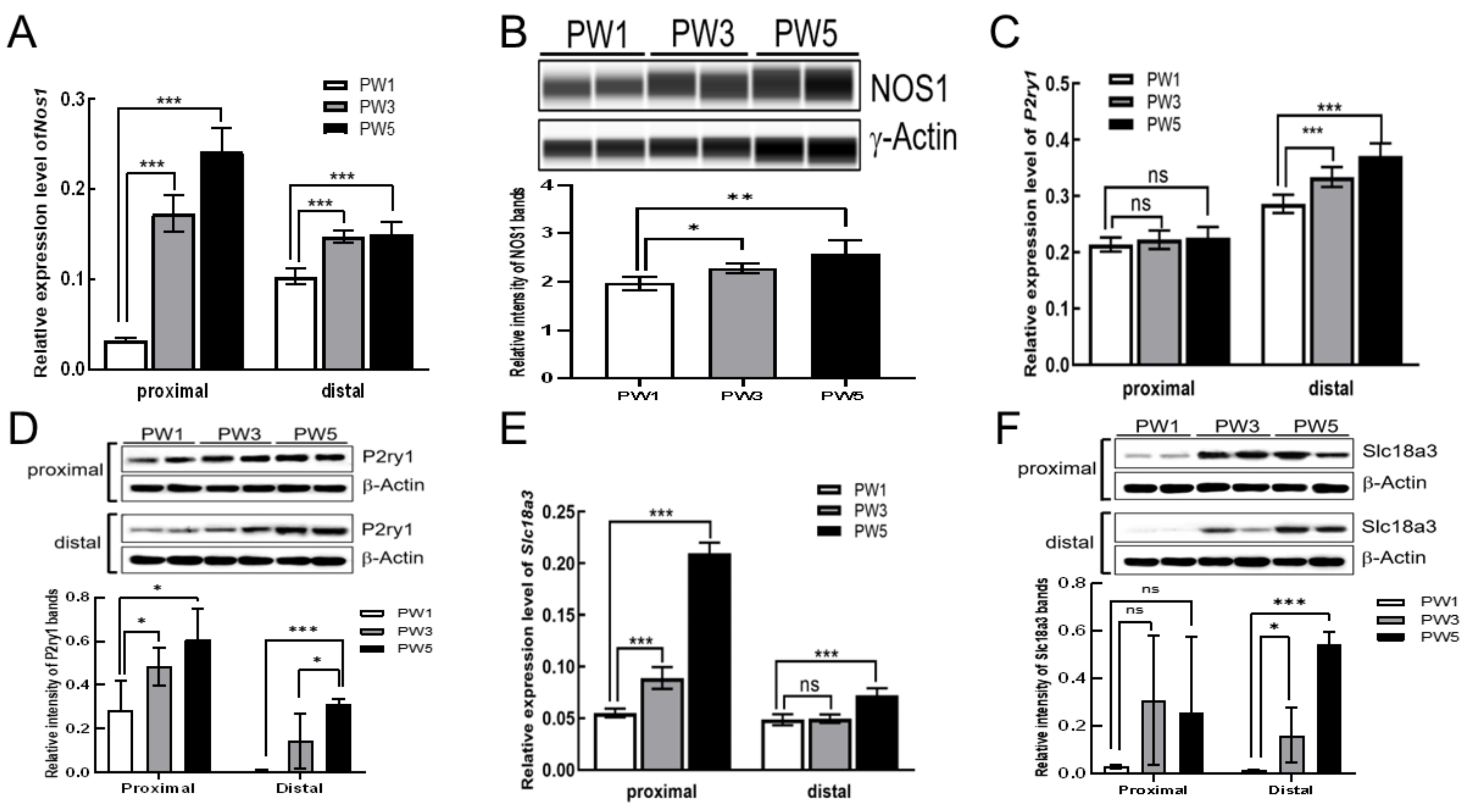 Biomolecules 13 01688 g003 Biomolecules 13 01688 g003