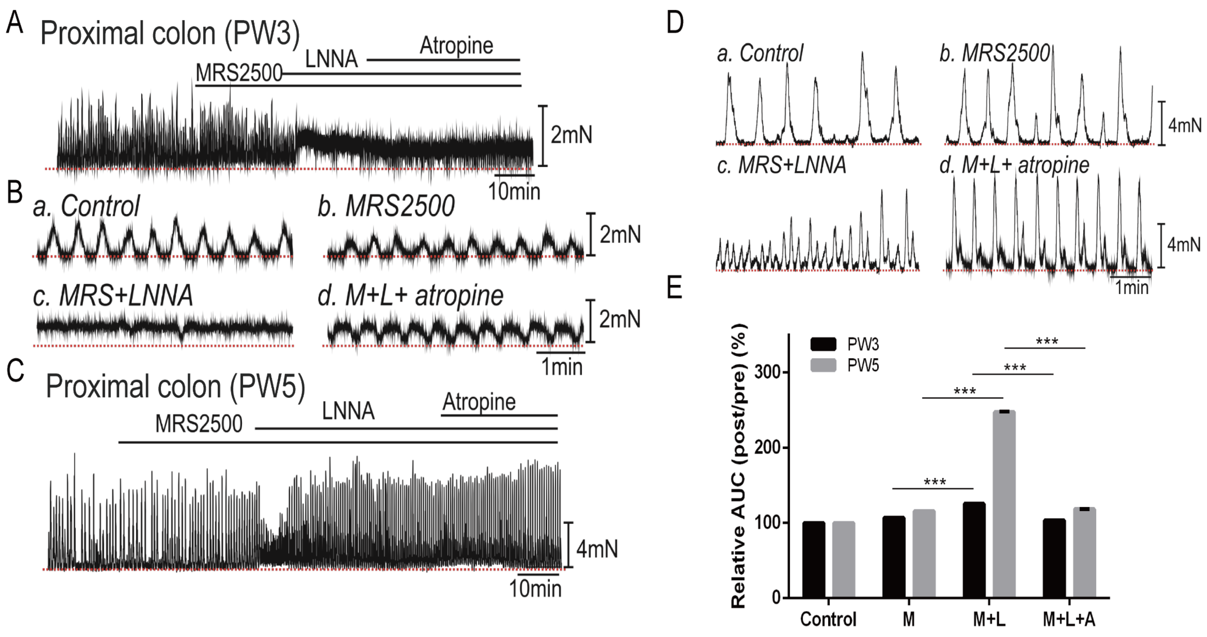 Biomolecules 13 01688 g004 Biomolecules 13 01688 g004
