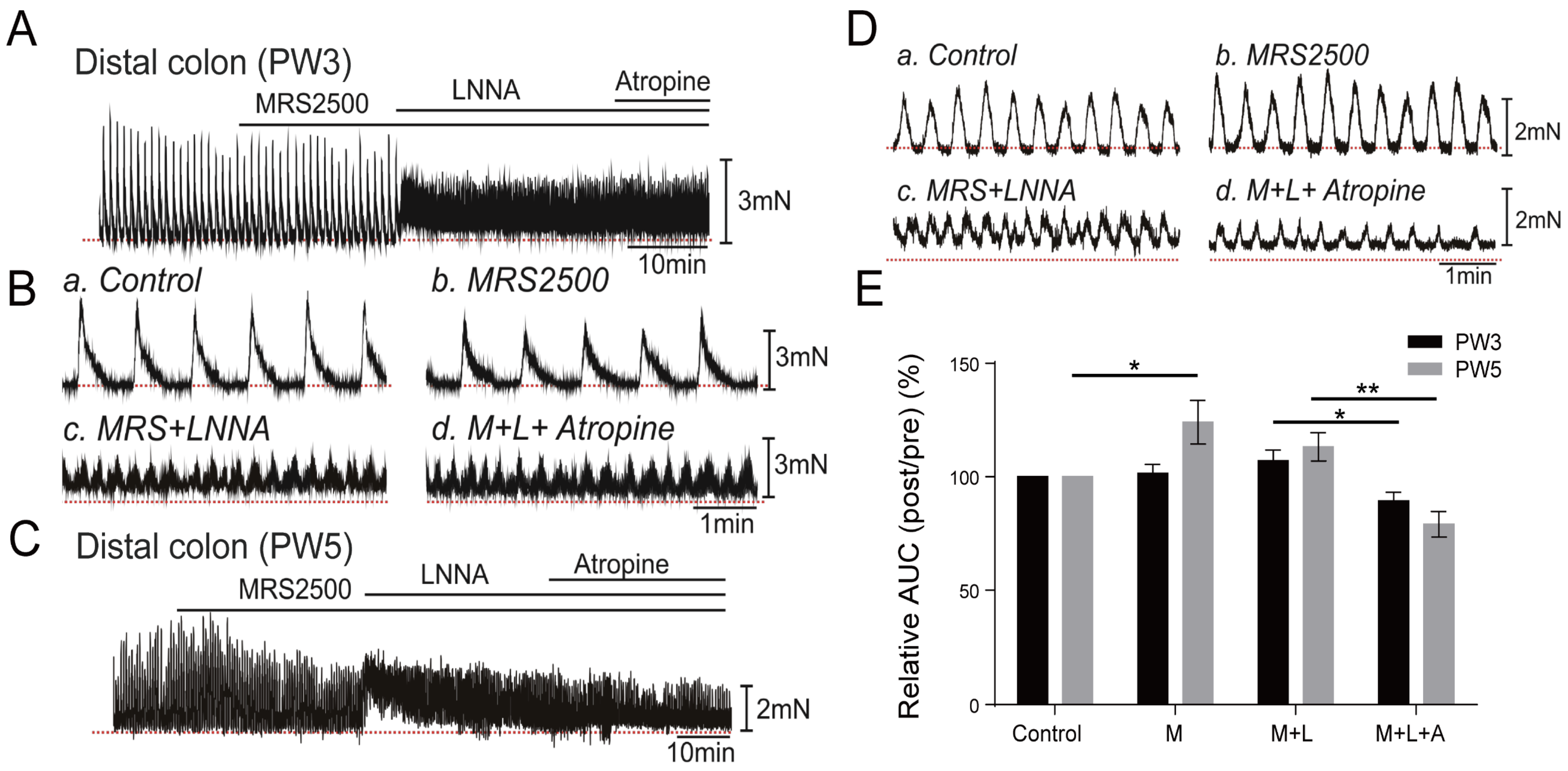 Biomolecules 13 01688 g005 Biomolecules 13 01688 g005