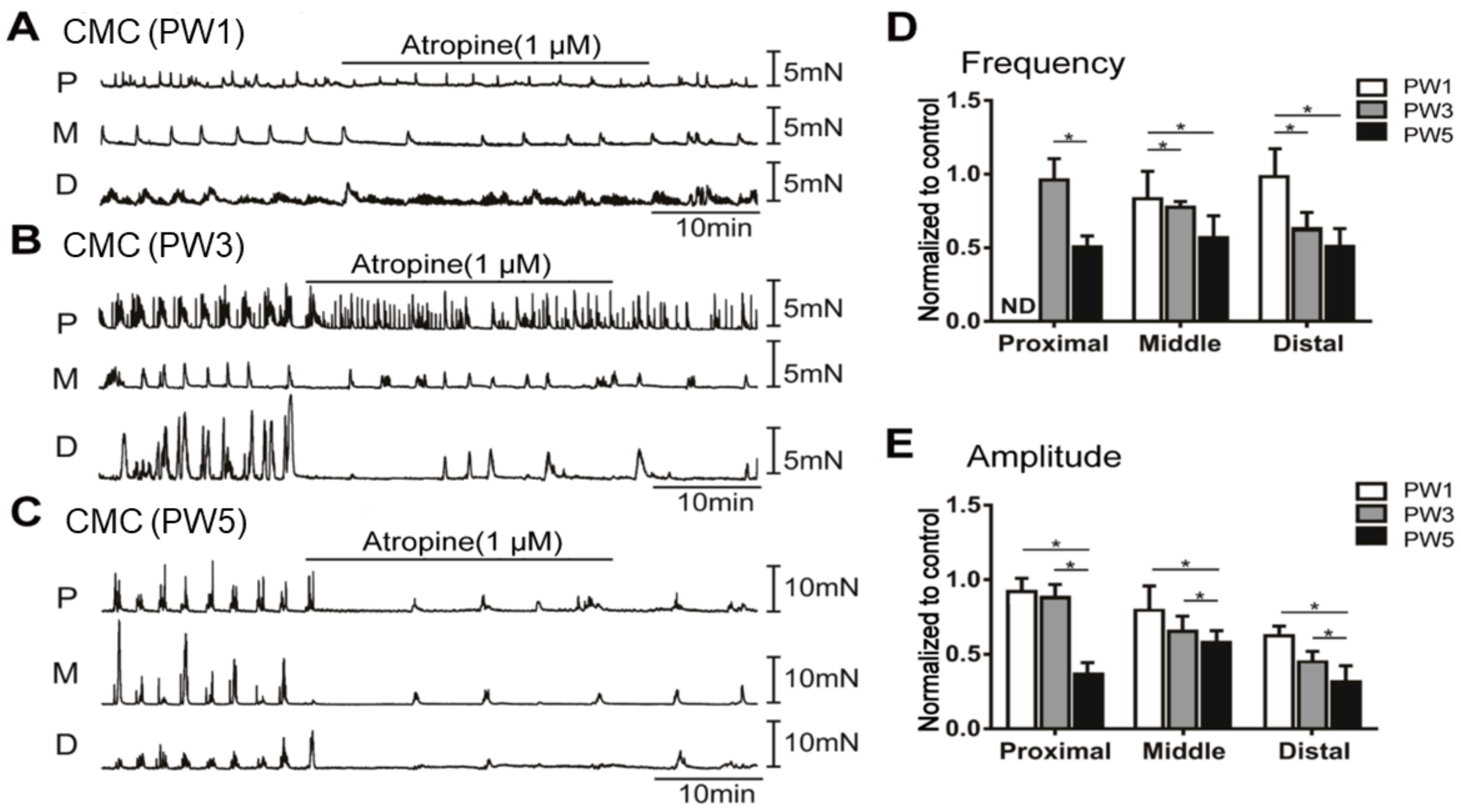 Biomolecules 13 01688 g008 Biomolecules 13 01688 g008