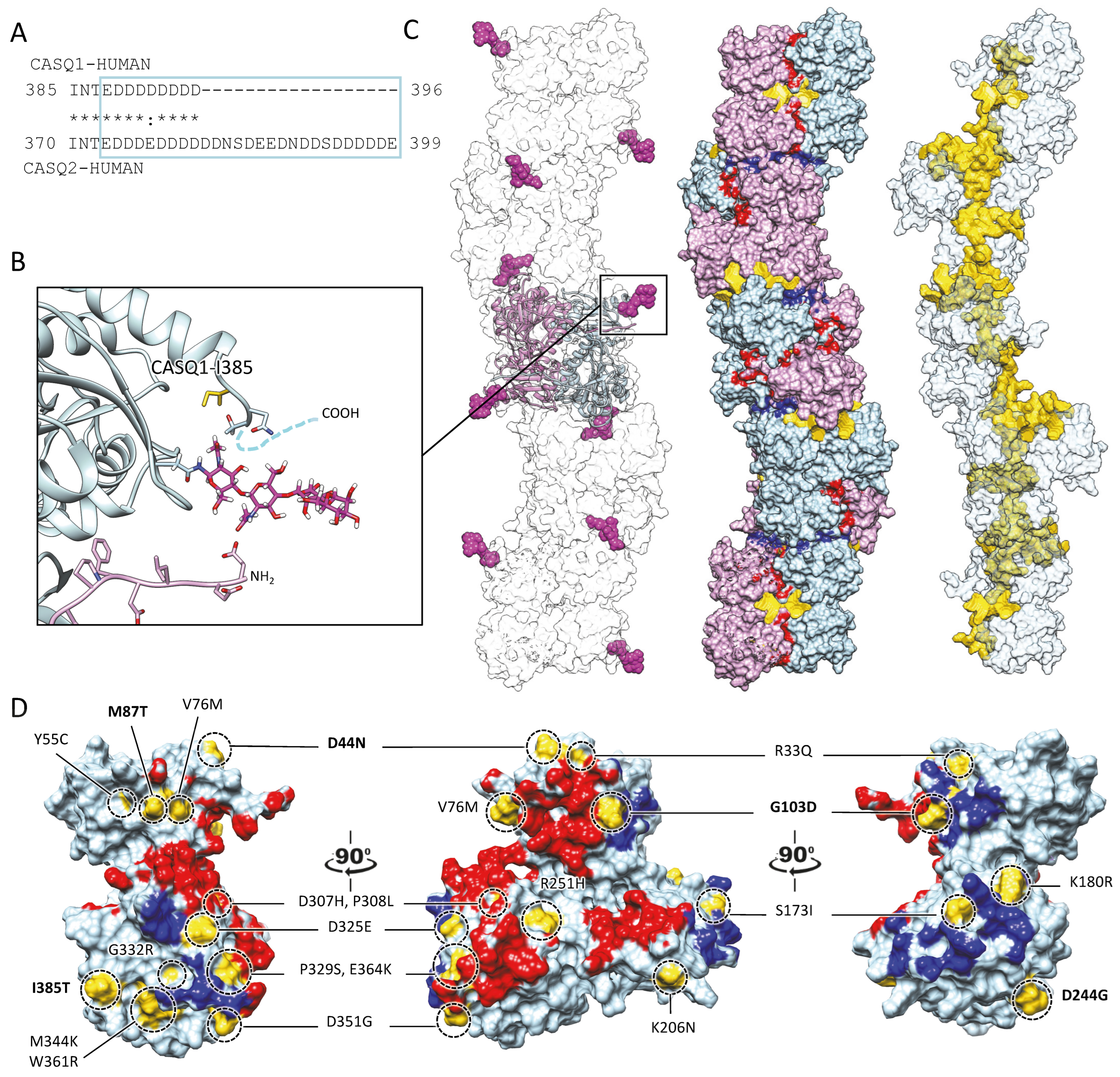 Biomolecules 13 01693 g004 Biomolecules 13 01693 g004