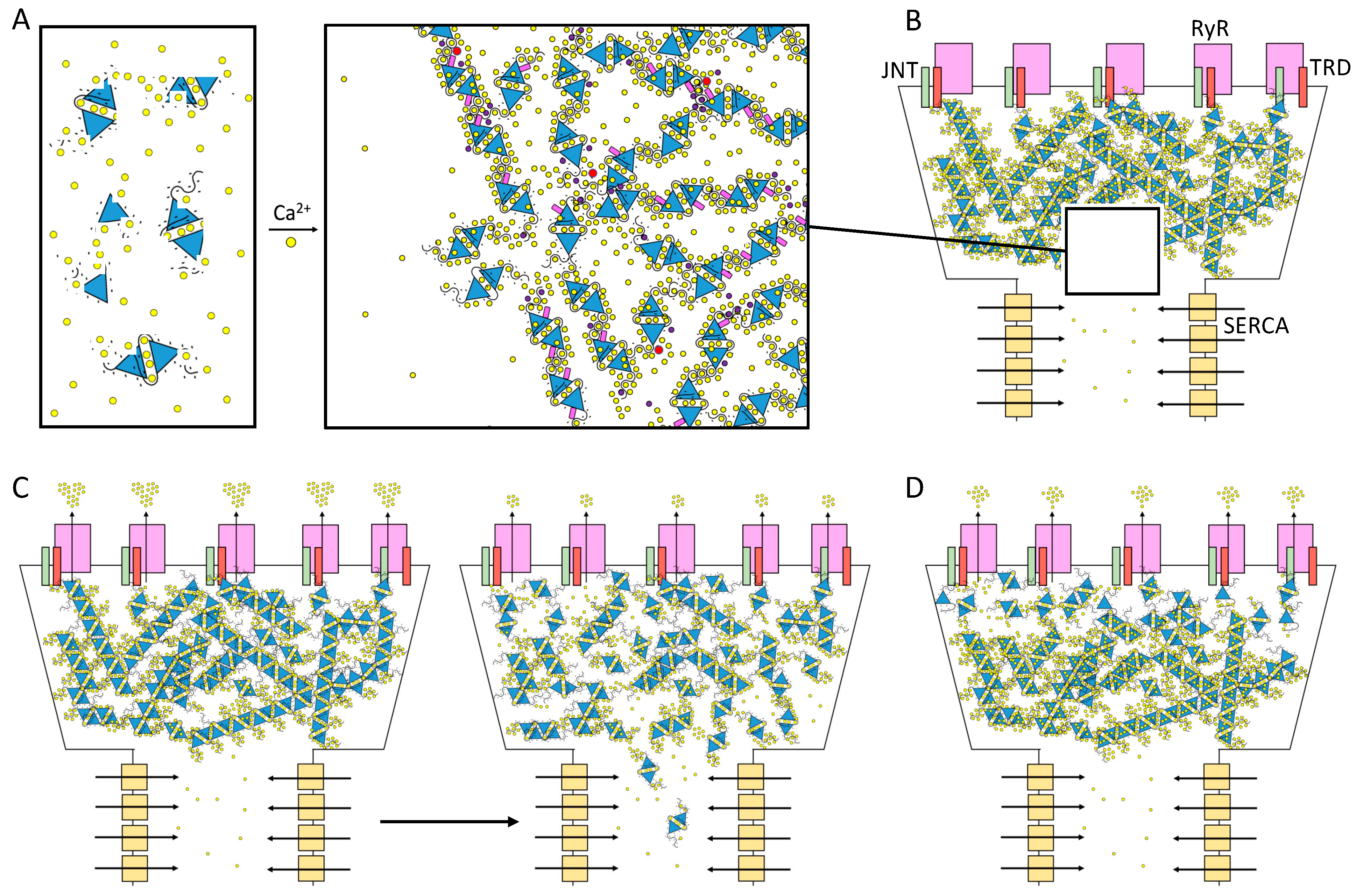 Biomolecules 13 01693 g005 Biomolecules 13 01693 g005