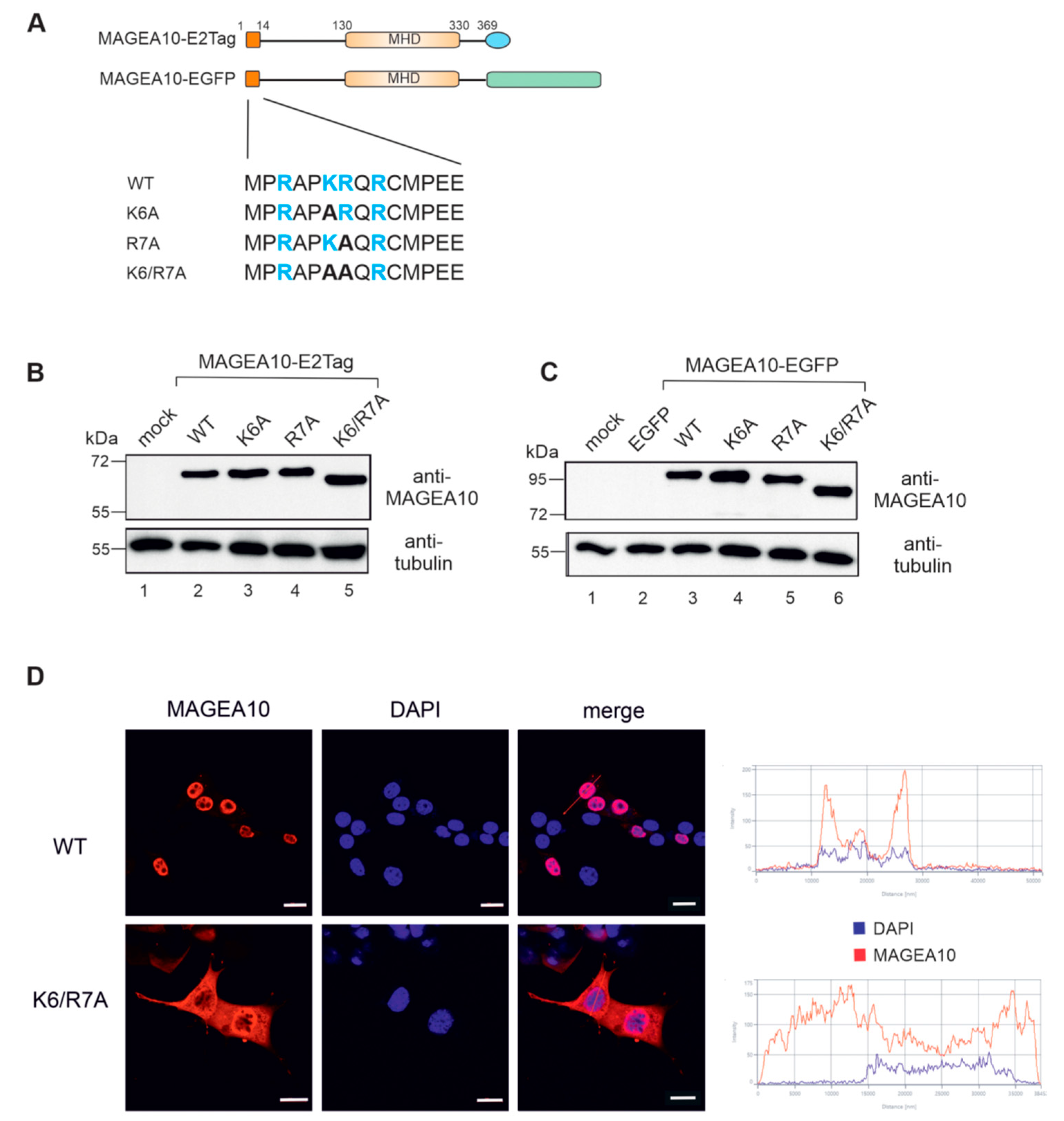 Biomolecules 13 01704 g002