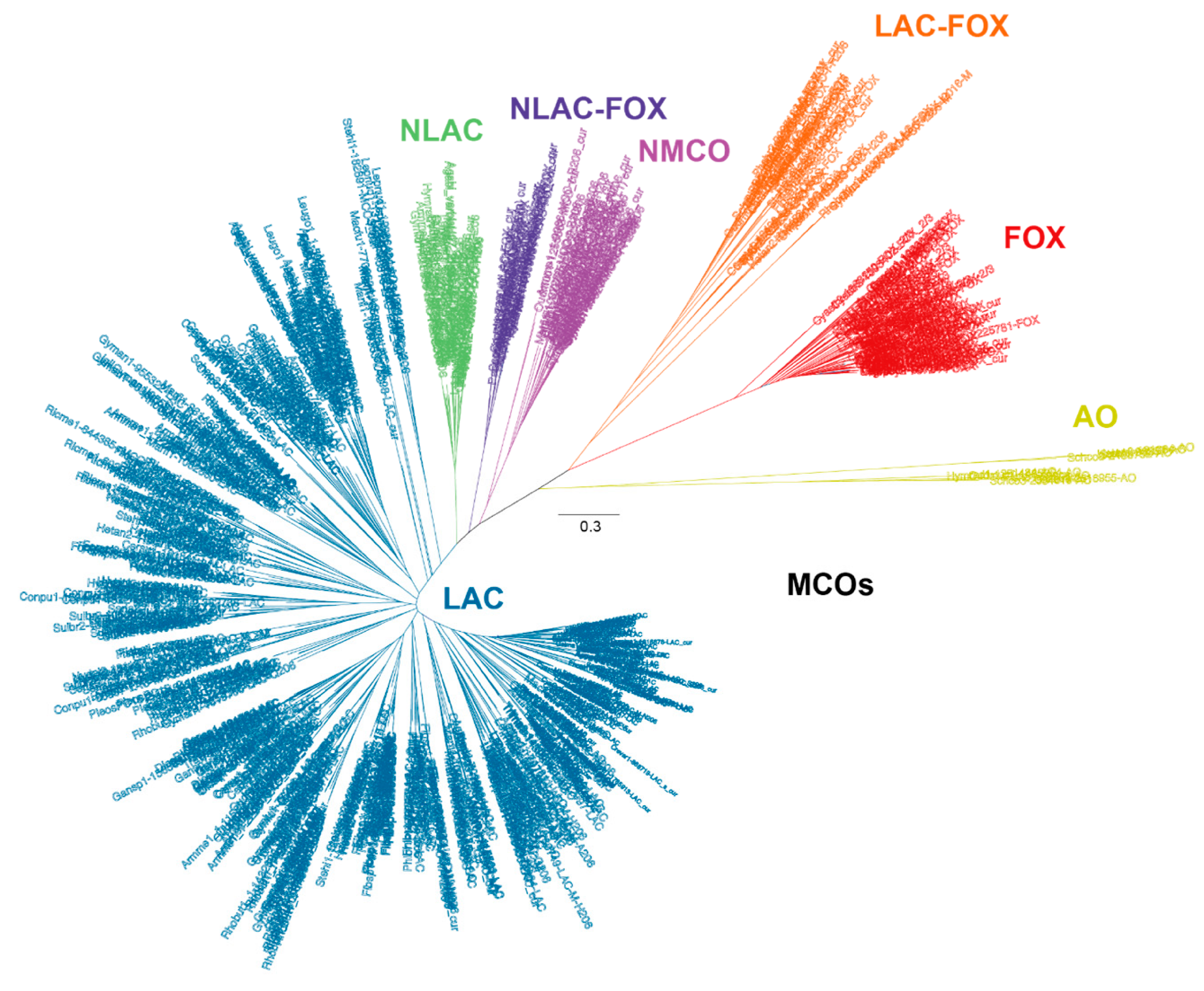 Biomolecules 13 01716 g005 Biomolecules 13 01716 g005