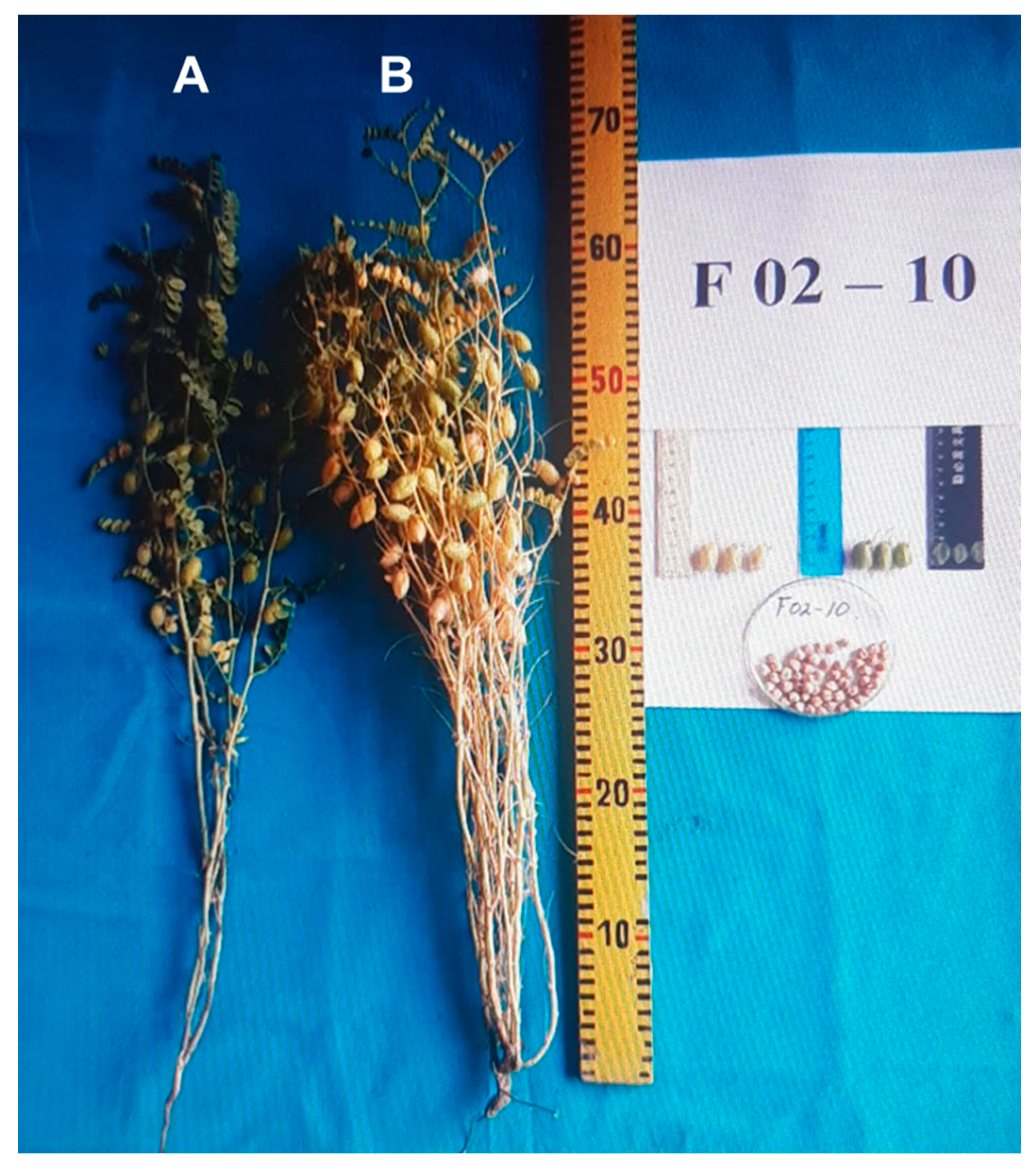 Biomolecules 13 01722 g007