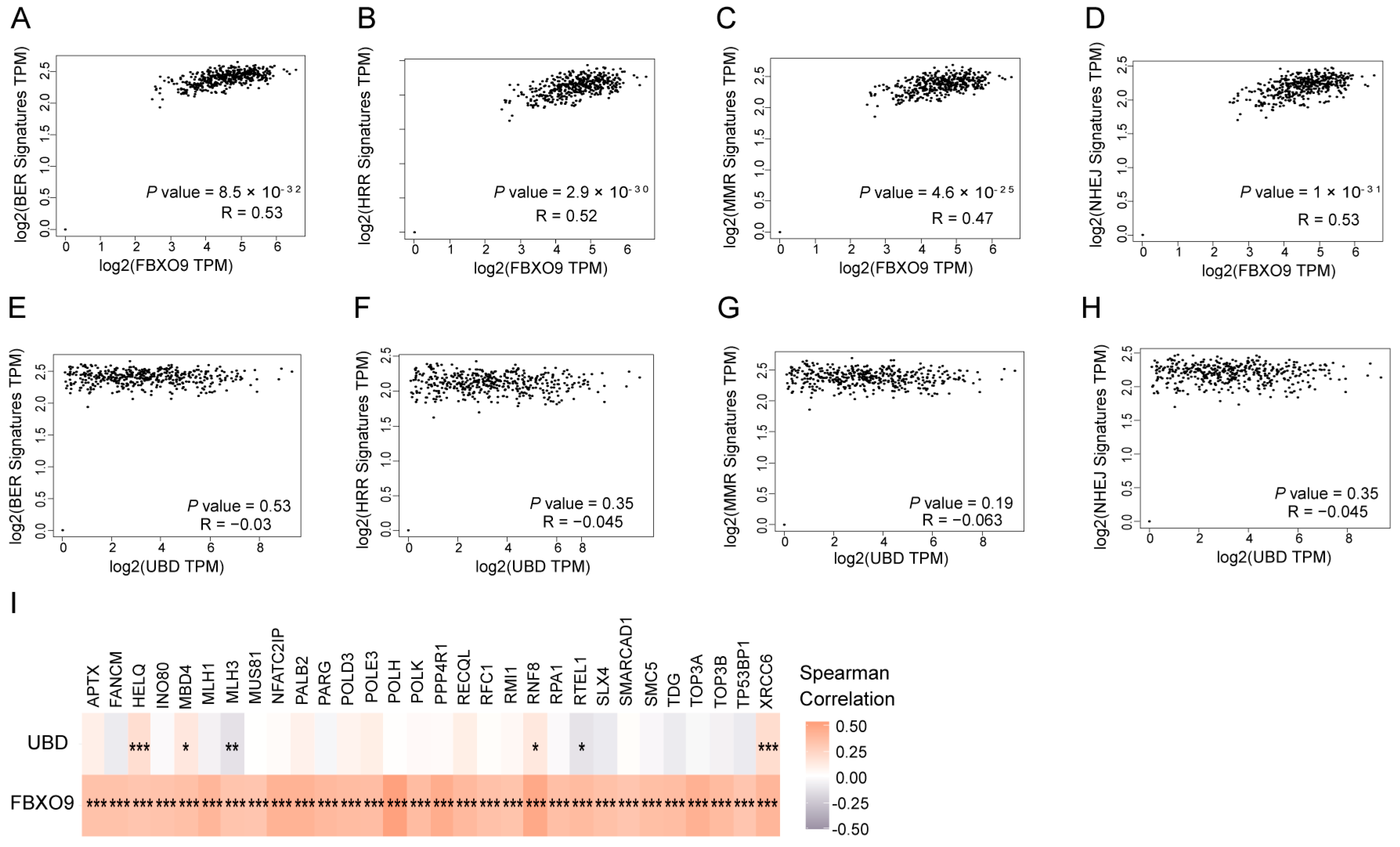 Biomolecules 13 01724 g008