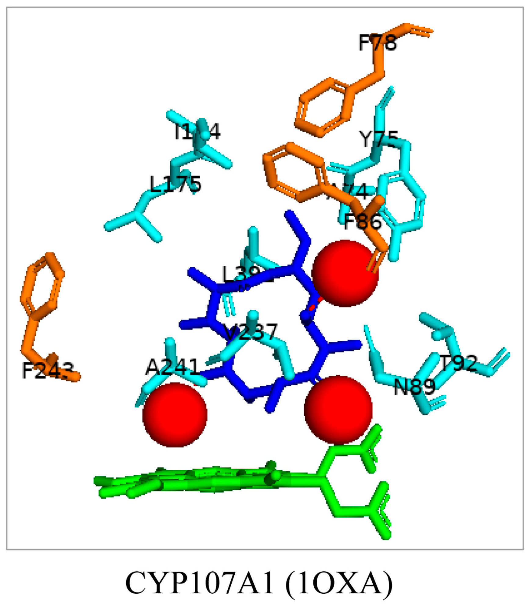 Biomolecules 13 01733 g002 Biomolecules 13 01733 g002