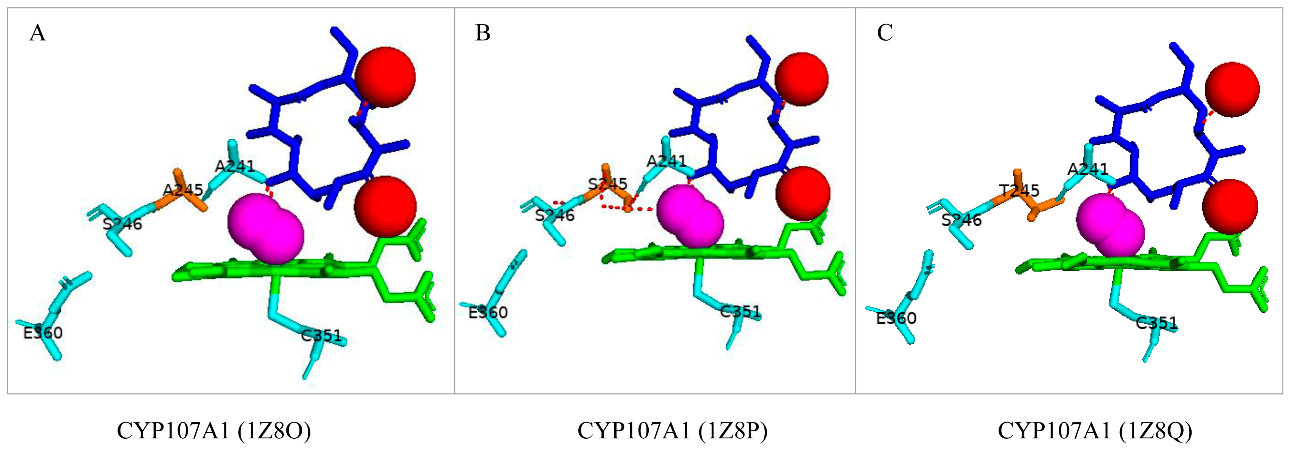 Biomolecules 13 01733 g005 Biomolecules 13 01733 g005