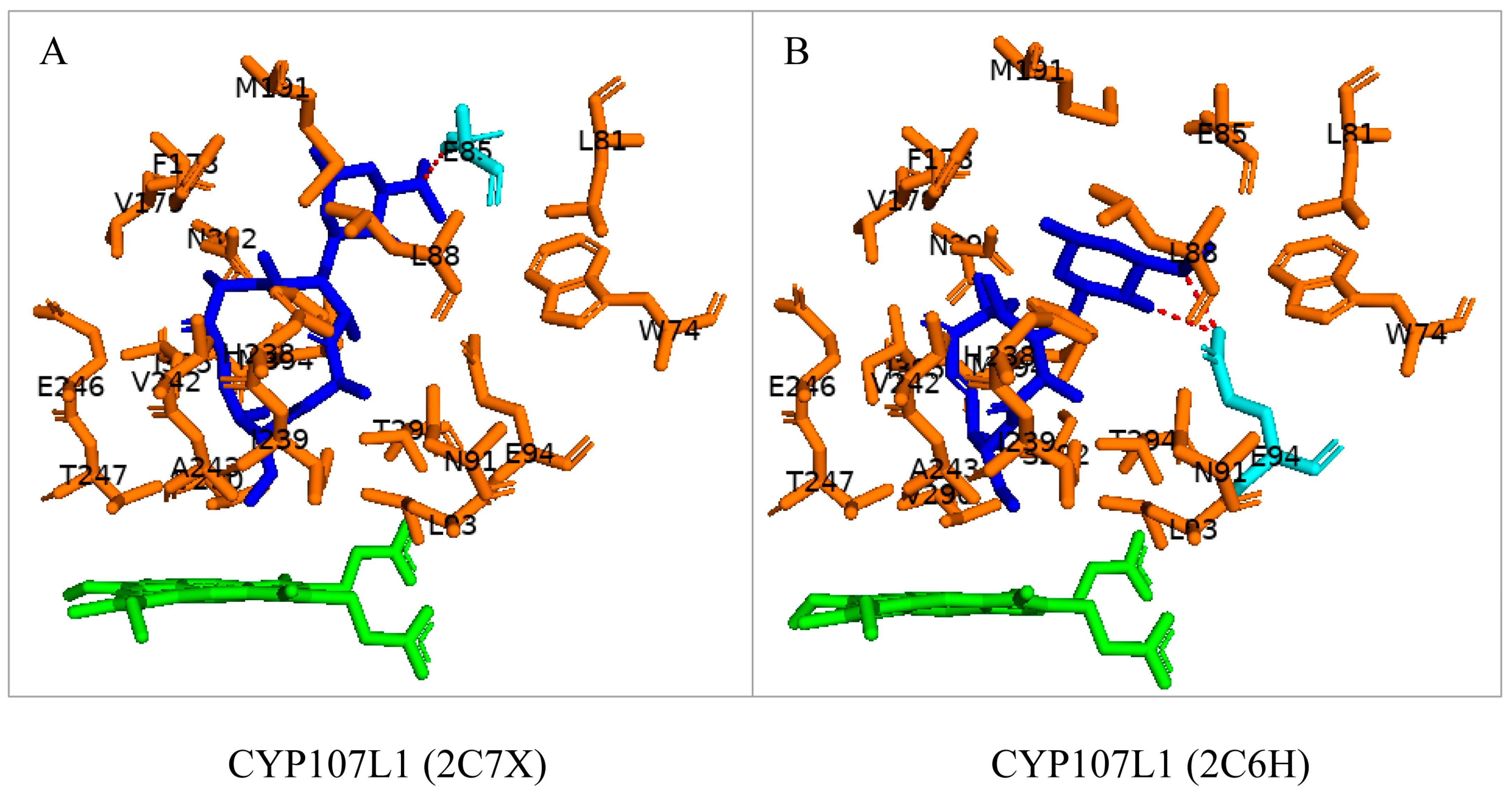 Biomolecules 13 01733 g006 Biomolecules 13 01733 g006