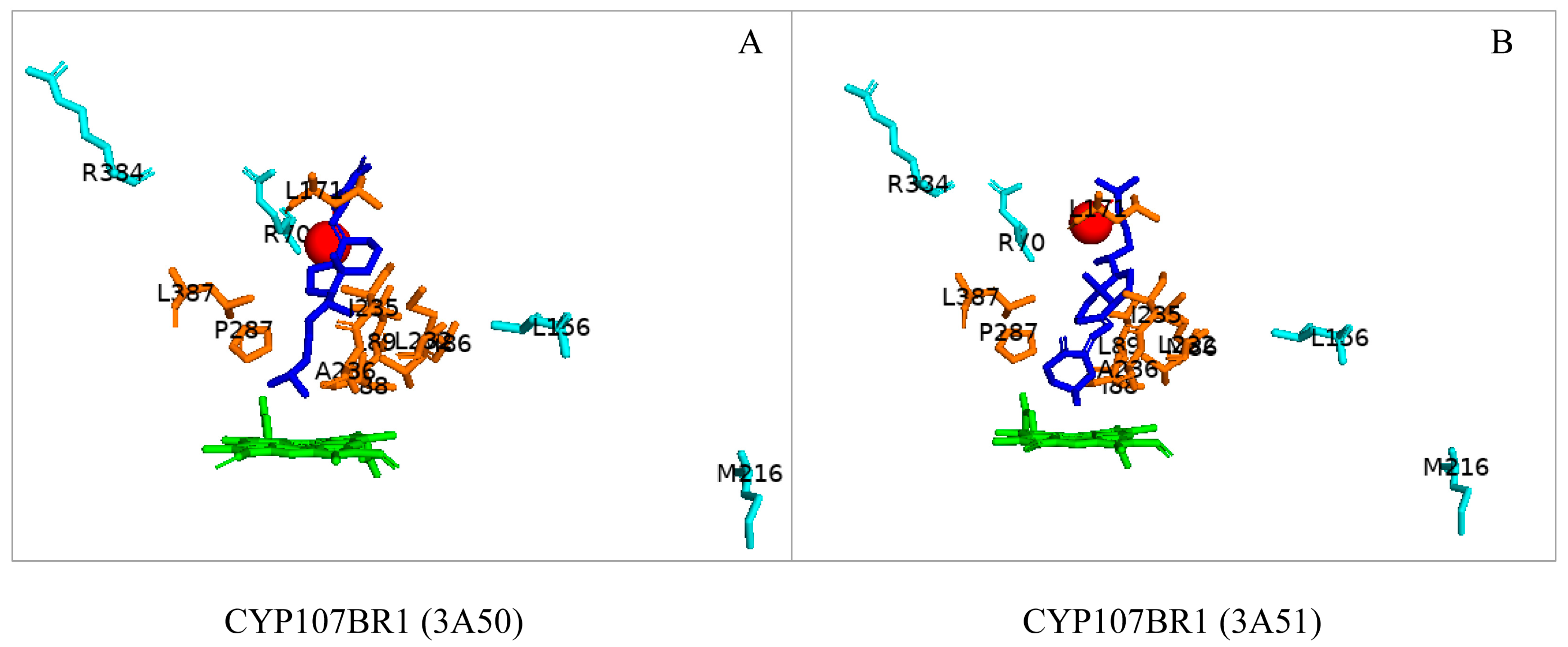 Biomolecules 13 01733 g008 Biomolecules 13 01733 g008