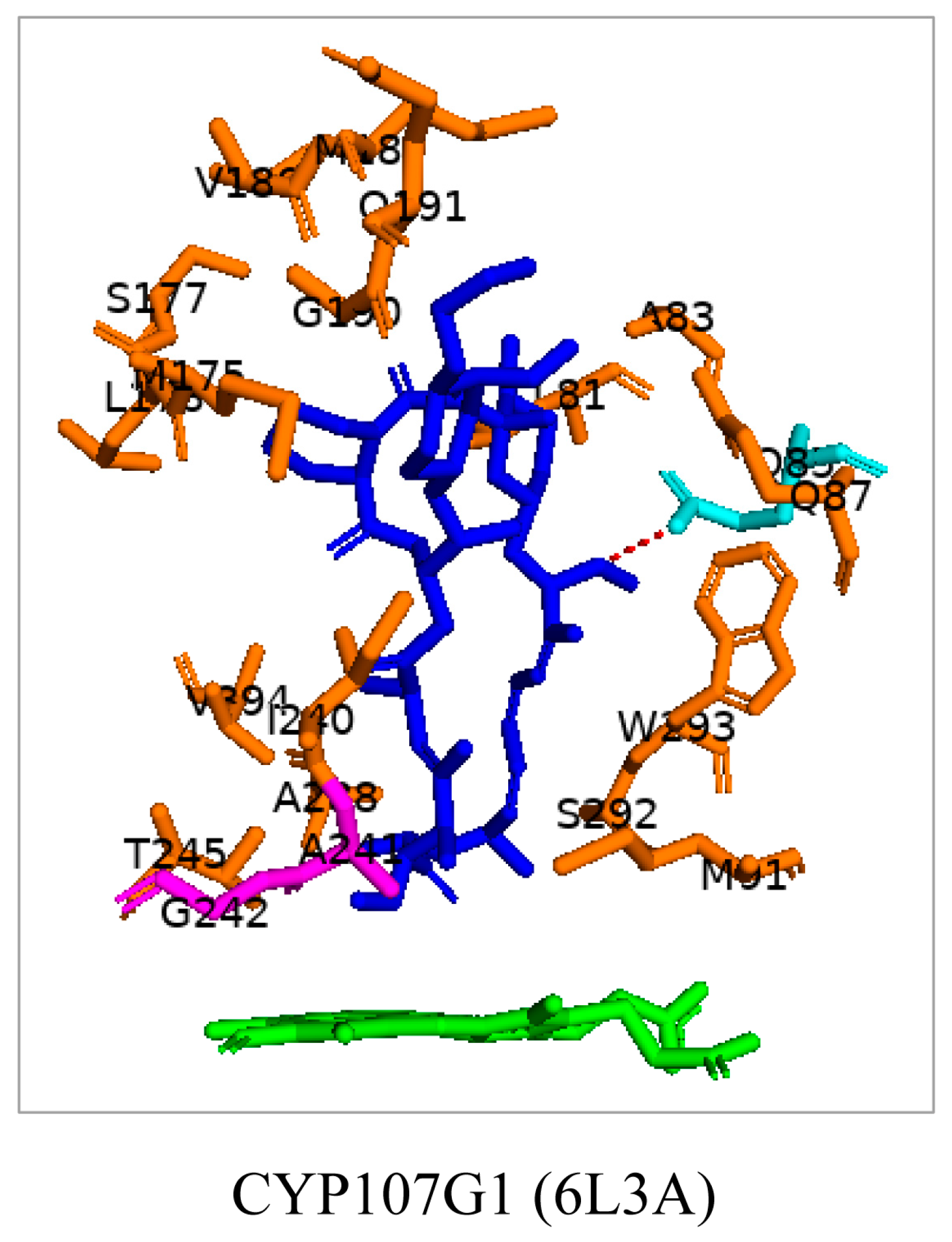 Biomolecules 13 01733 g010 Biomolecules 13 01733 g010