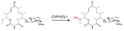 Biomolecules 13 01733 i008 Biomolecules 13 01733 i008