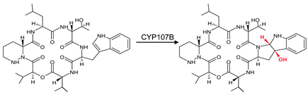Biomolecules 13 01733 i012 Biomolecules 13 01733 i012
