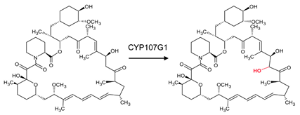 Biomolecules 13 01733 i014 Biomolecules 13 01733 i014