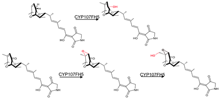 Biomolecules 13 01733 i017 Biomolecules 13 01733 i017