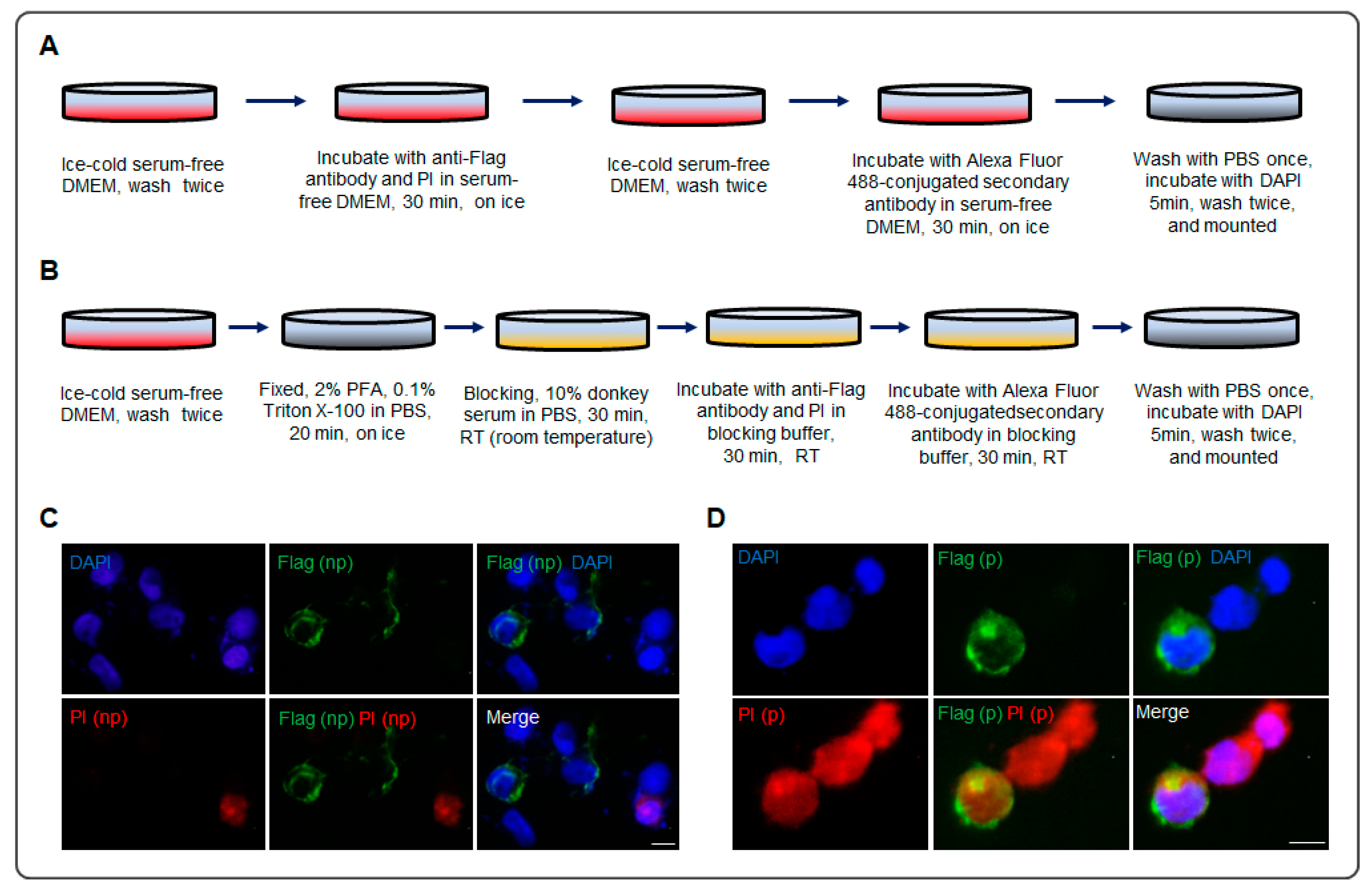 Biomolecules 13 01756 g002