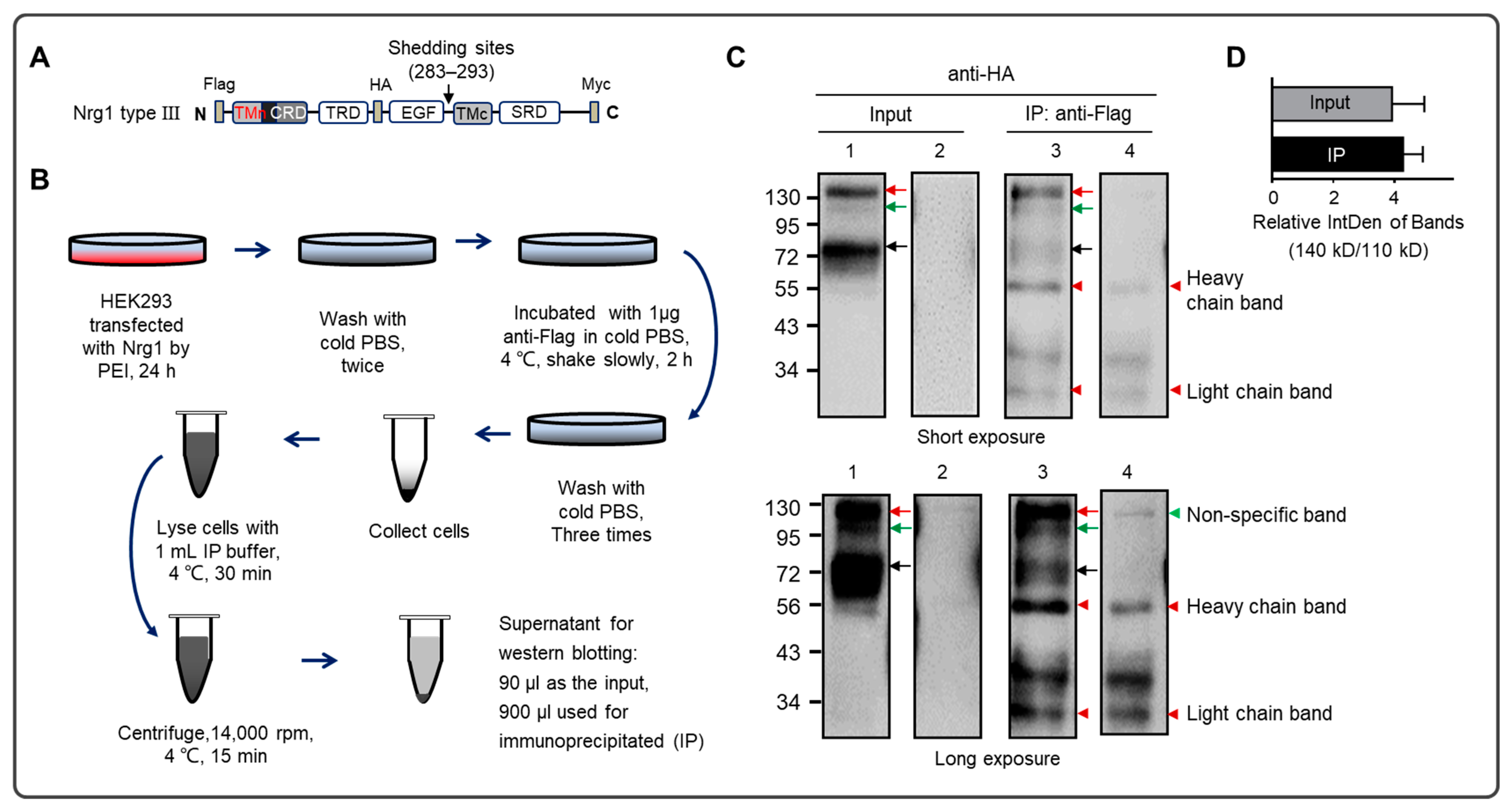 Biomolecules 13 01756 g003