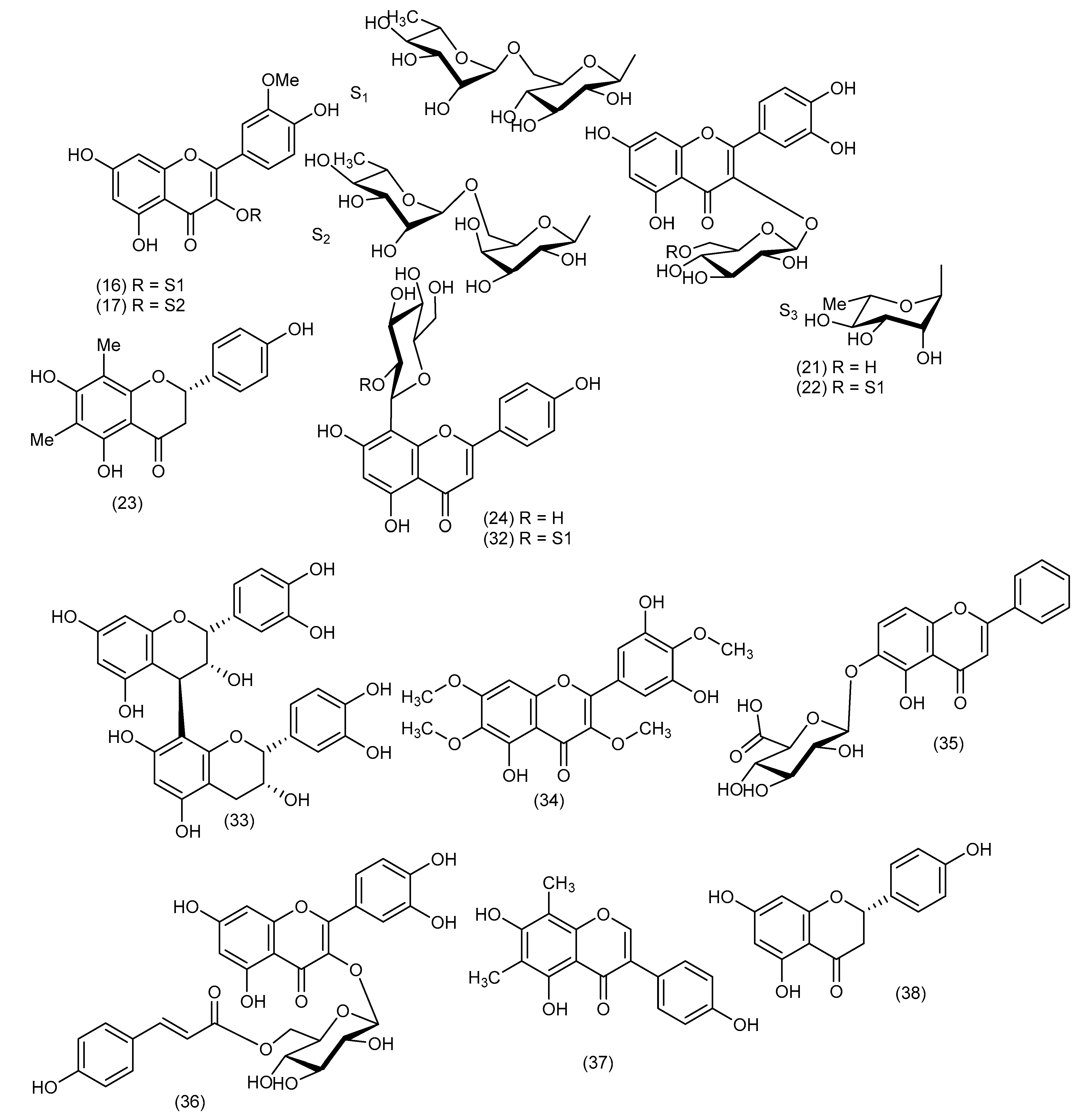 Biomolecules 13 01783 g004a