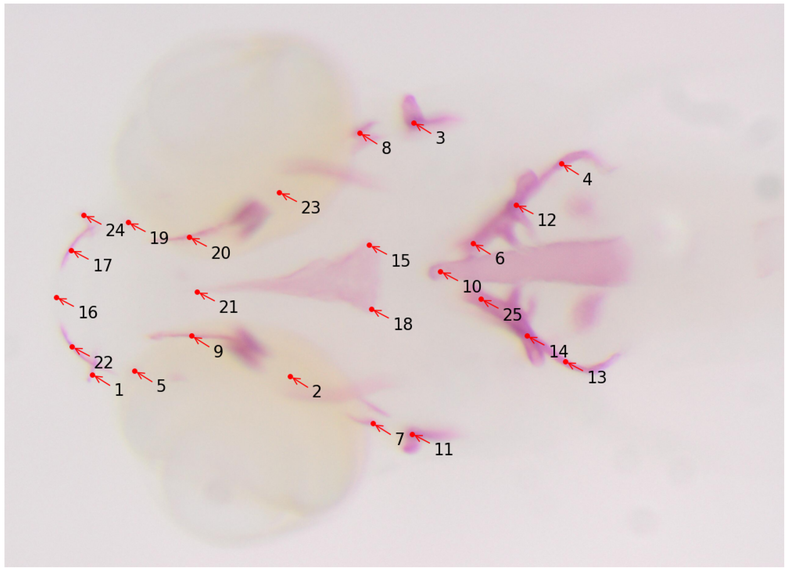 Biomolecules 13 01797 g005