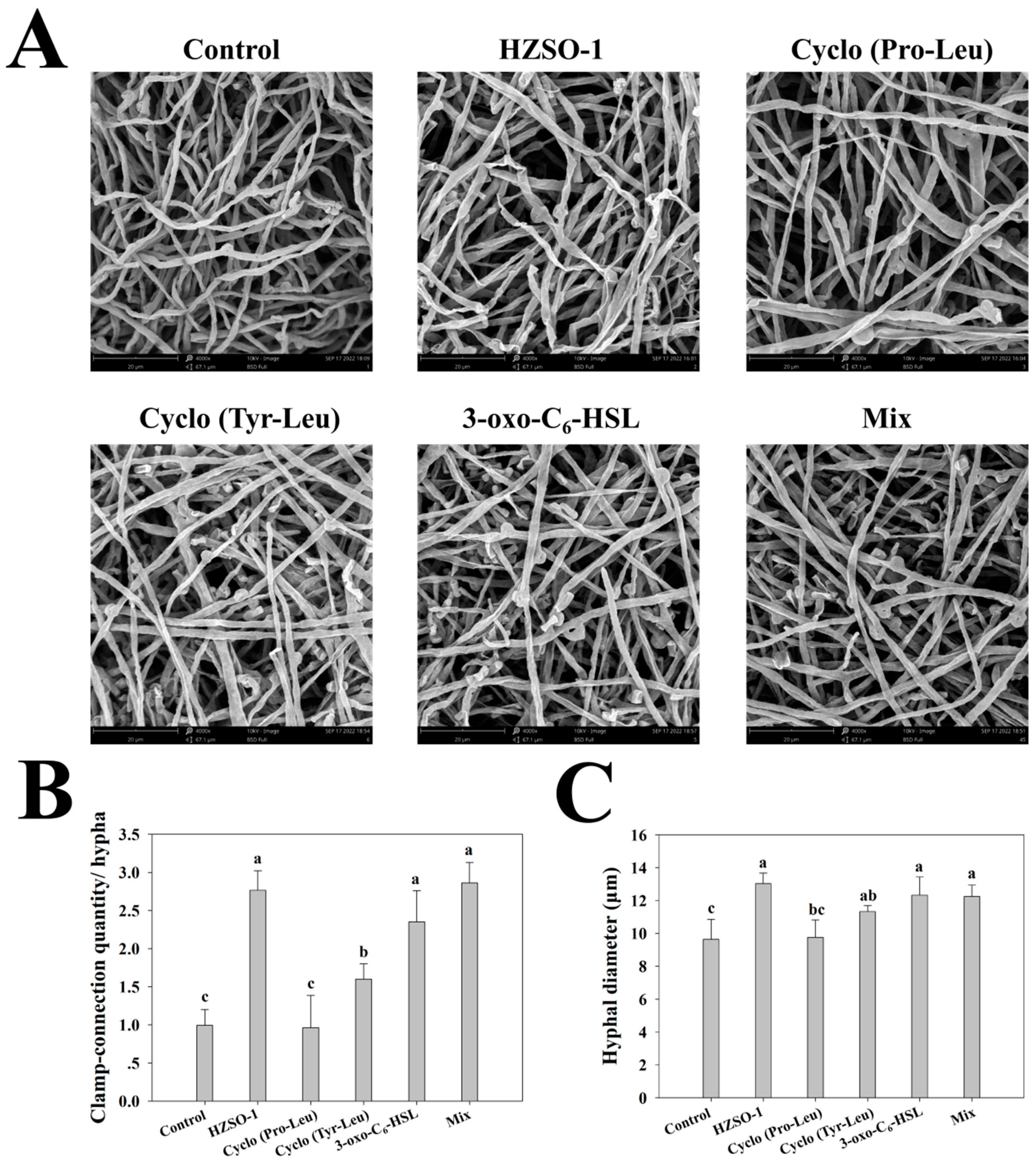 Biomolecules 13 01804 g002