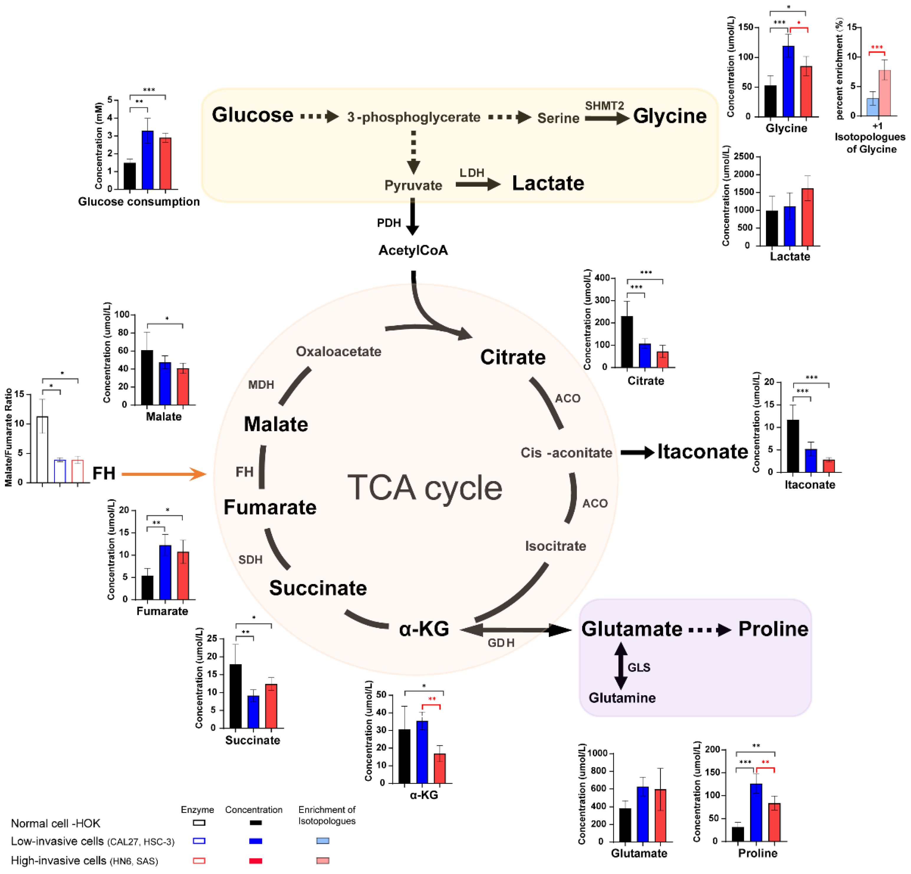 Biomolecules 13 01806 g003