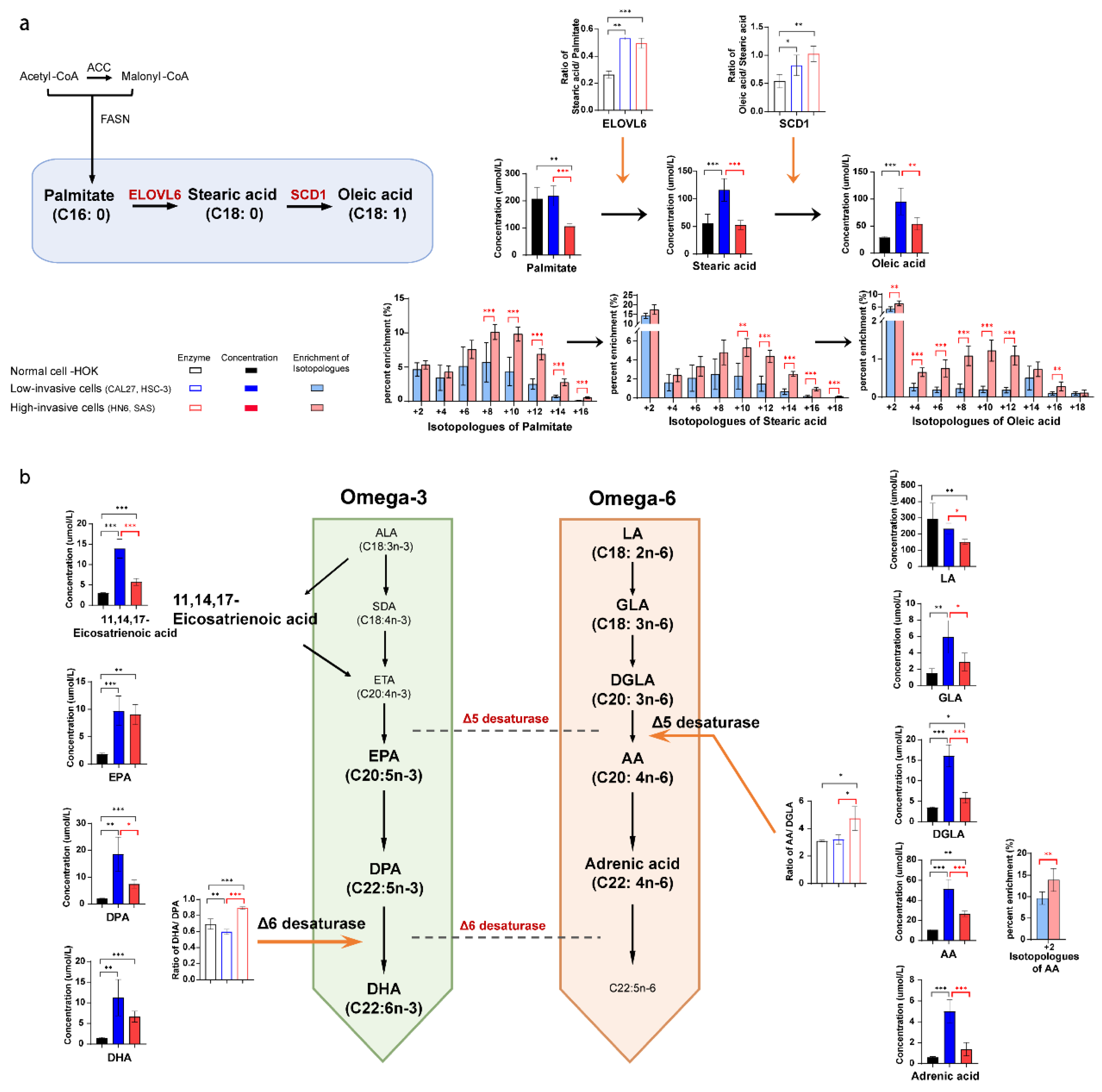 Biomolecules 13 01806 g004