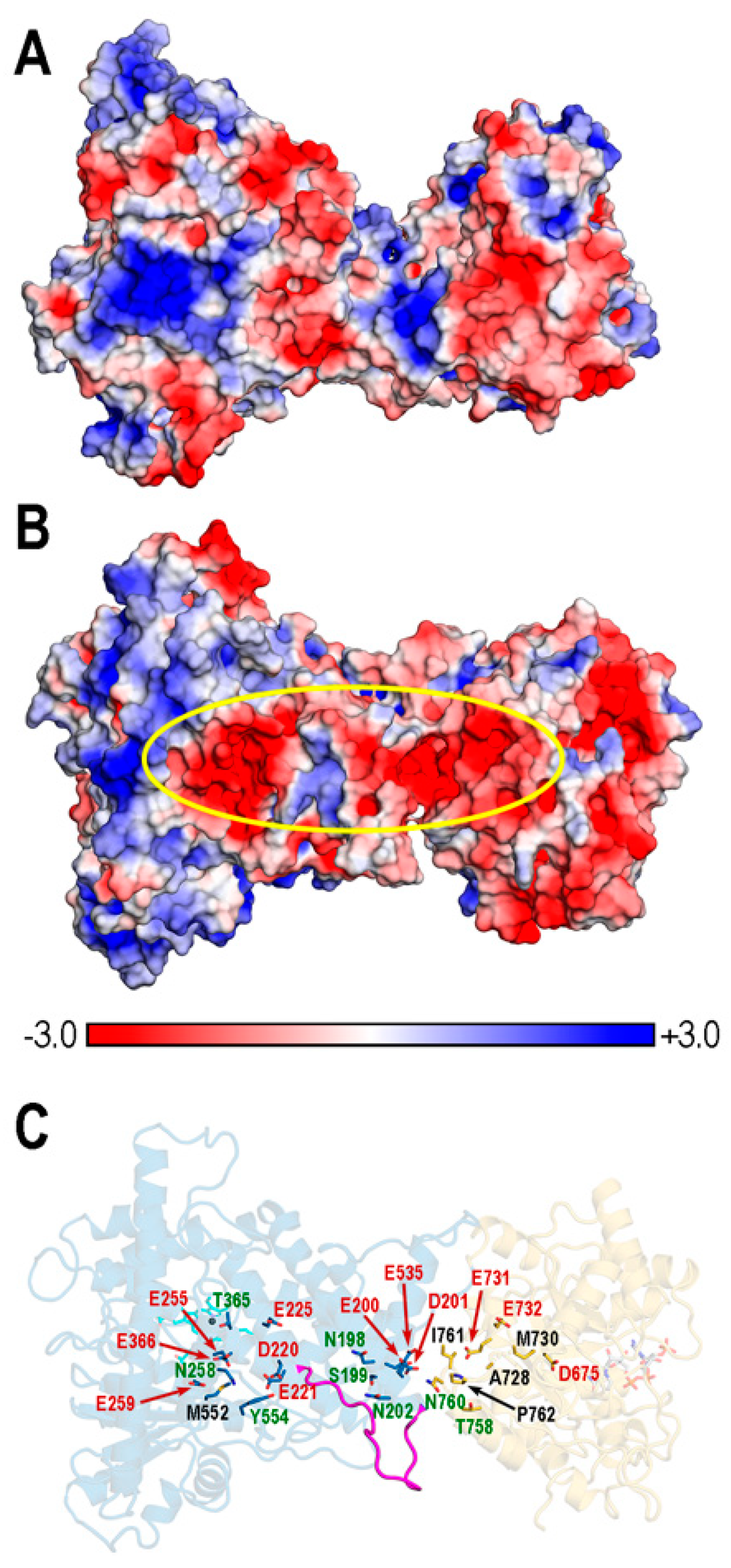 Biomolecules 14 00002 g010