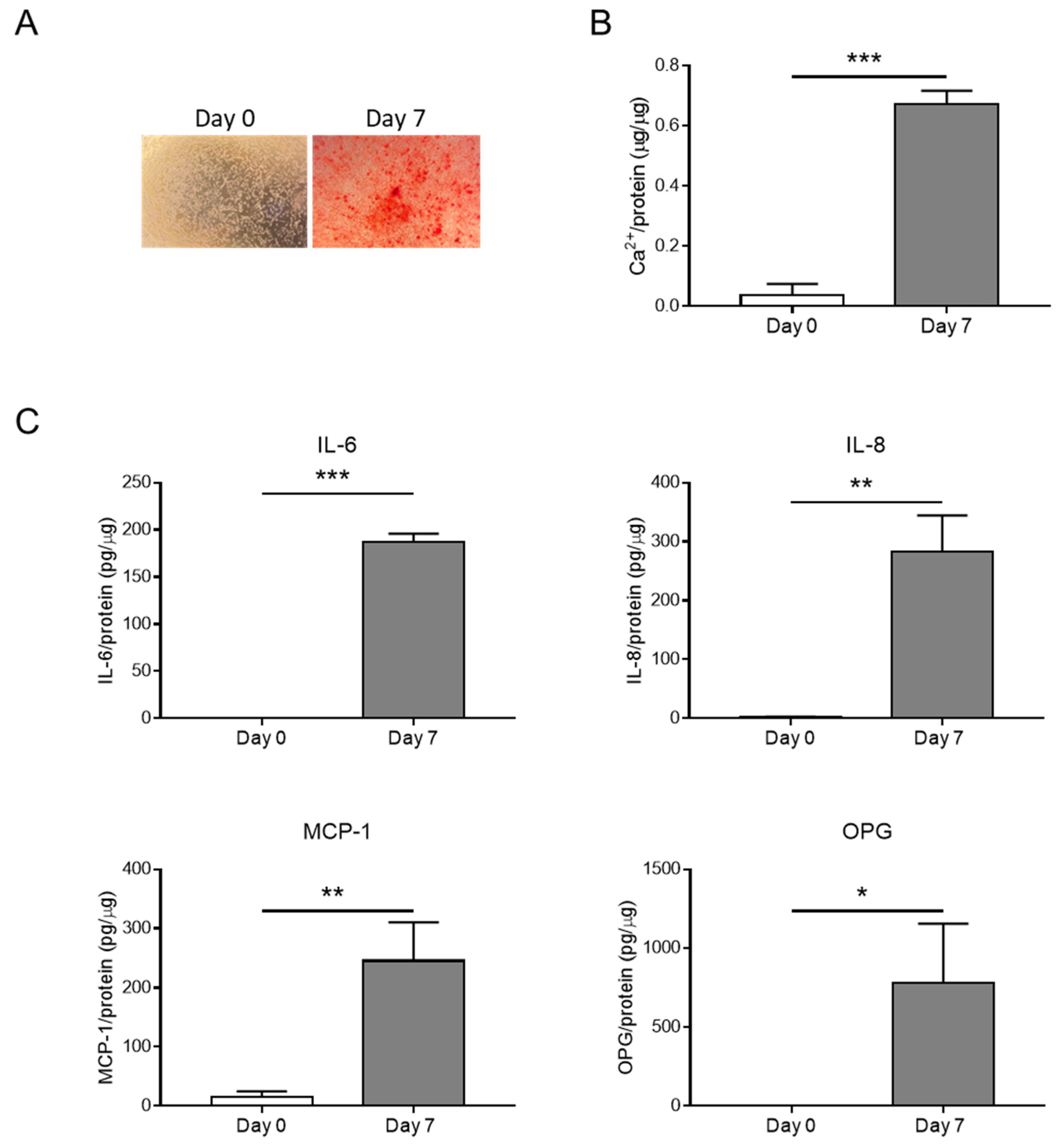 Biomolecules 14 00029 g001