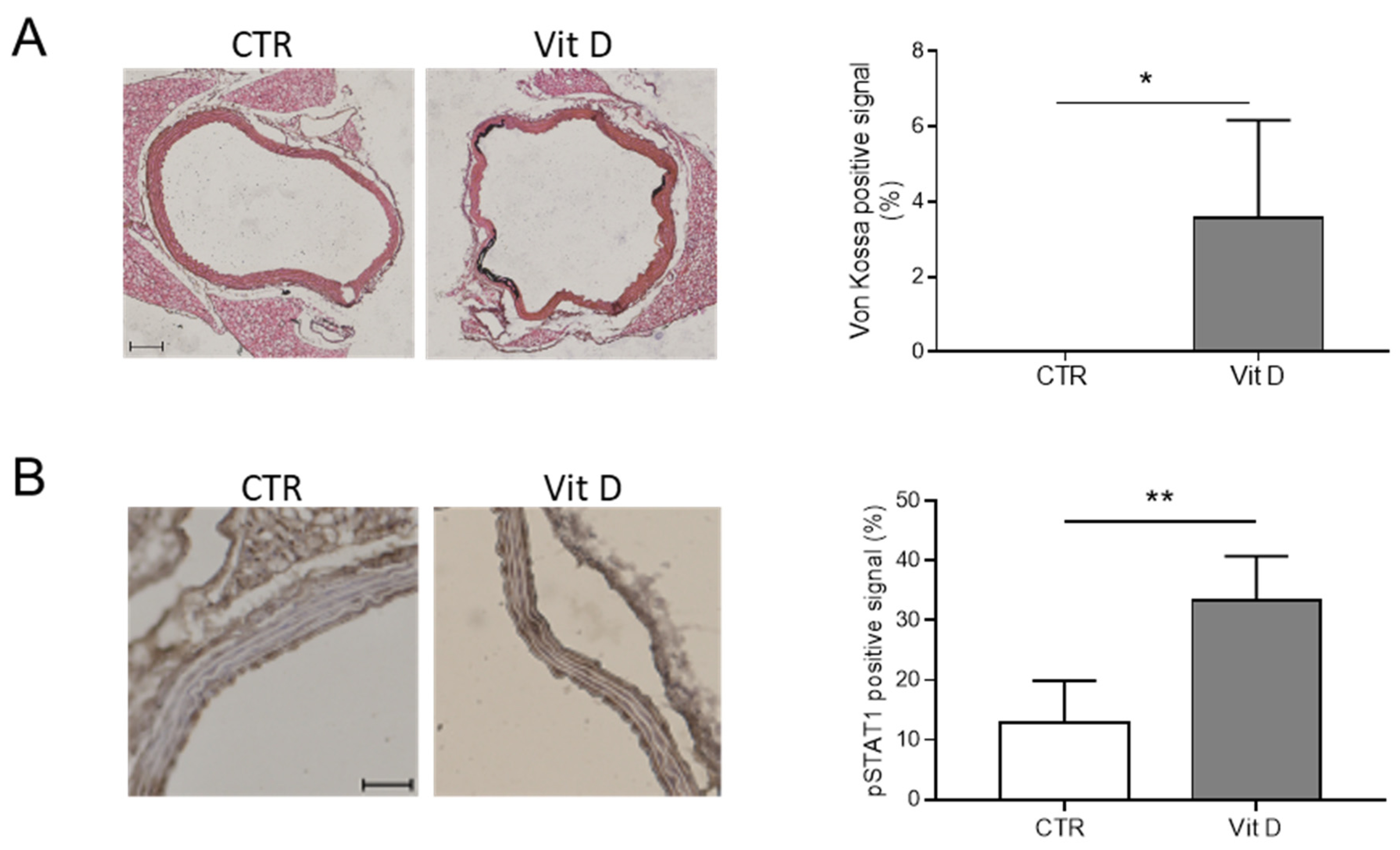 Biomolecules 14 00029 g004