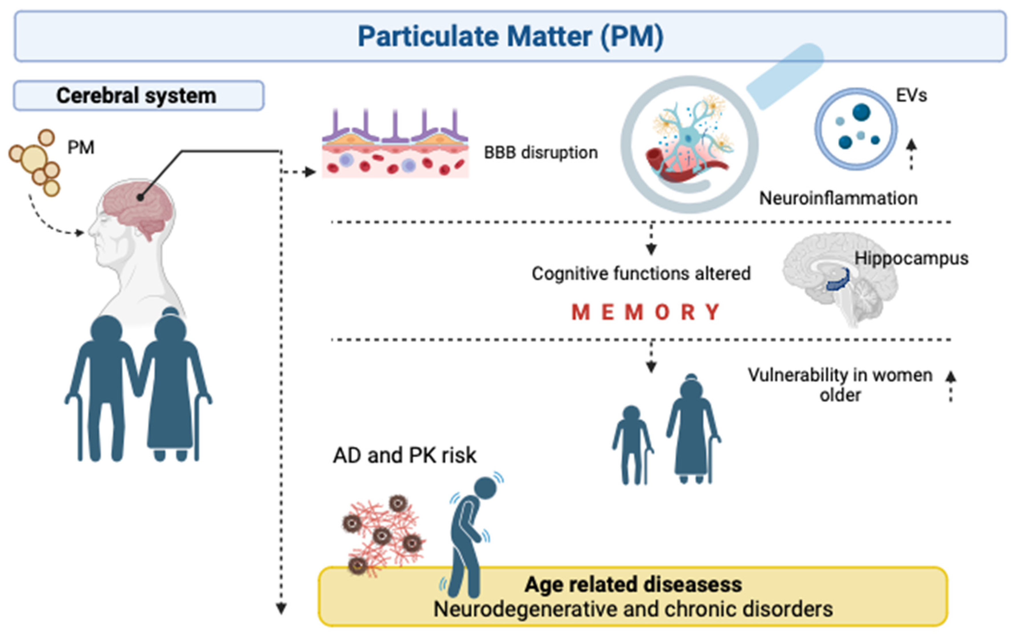Biomolecules 14 00035 g002
