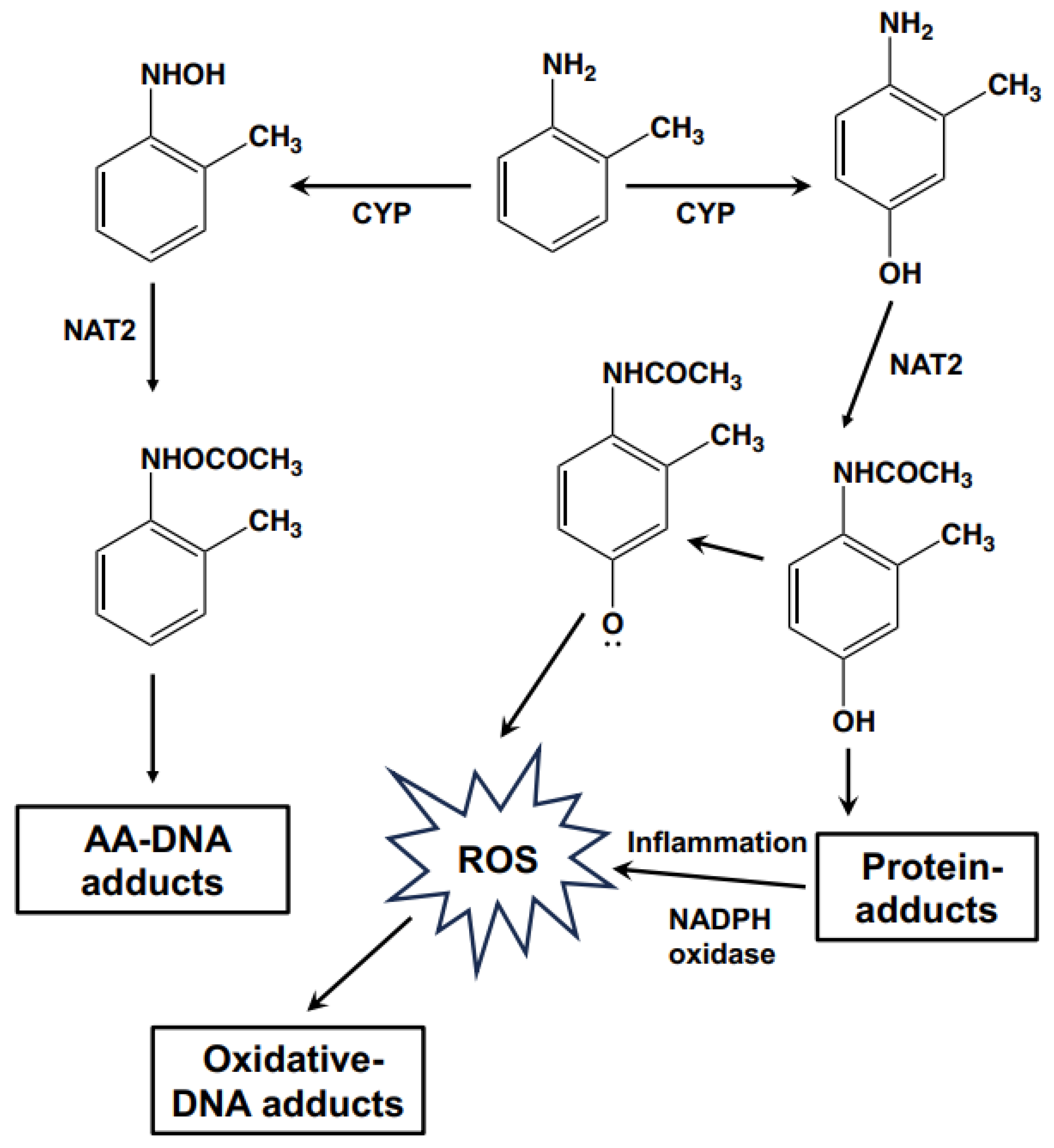 Biomolecules 14 00036 g006