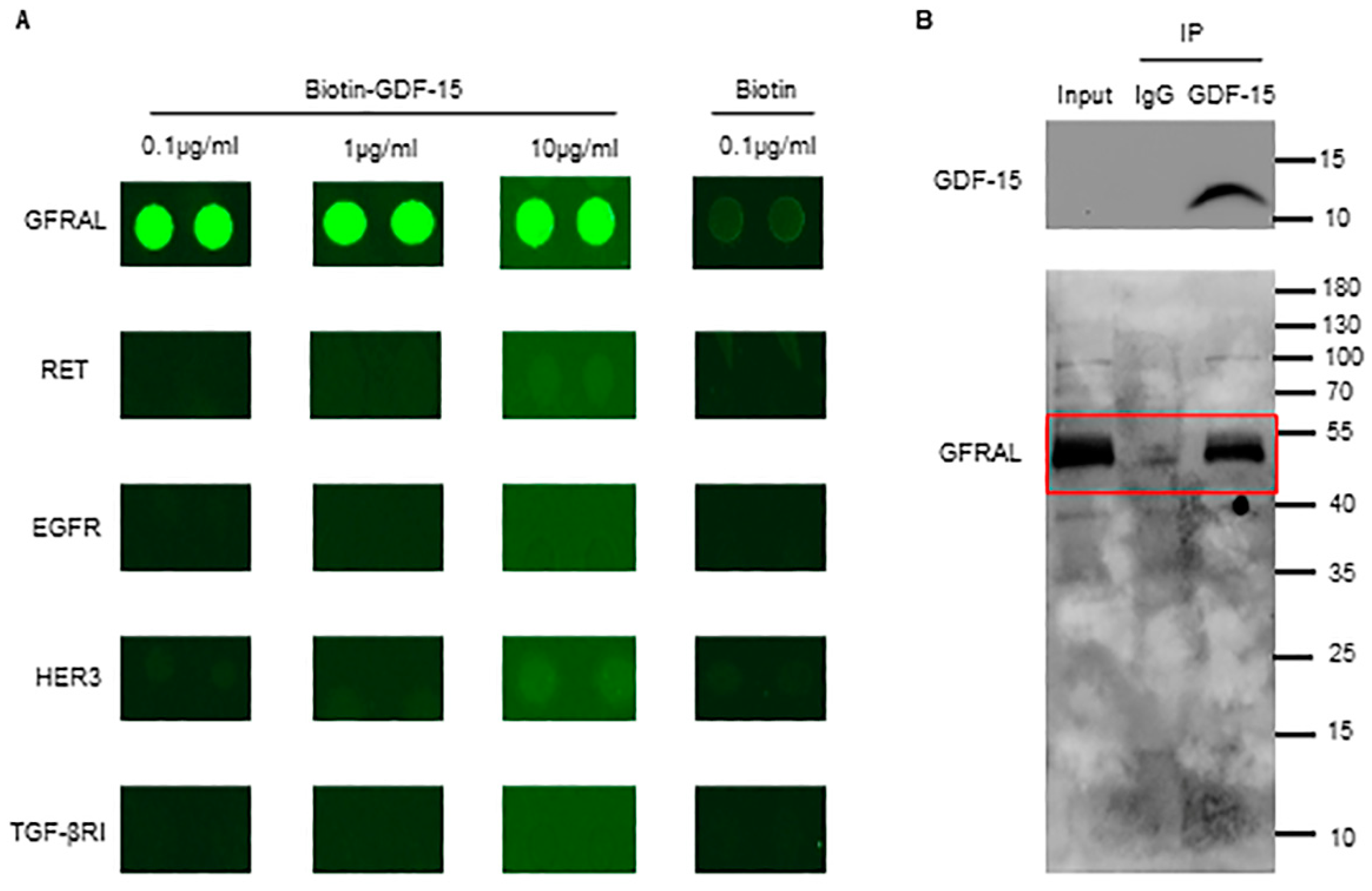 Biomolecules 14 00038 g003