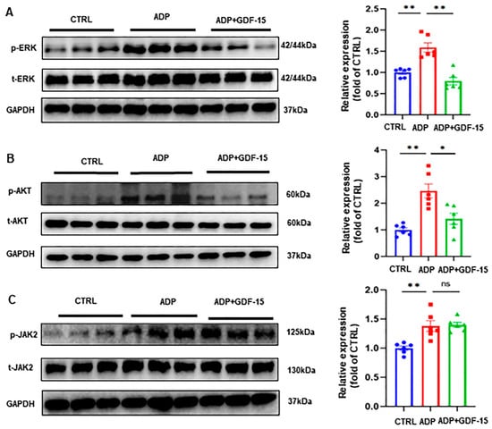 Biomolecules Free Full Text GDF 15 Inhibits ADP Induced Human