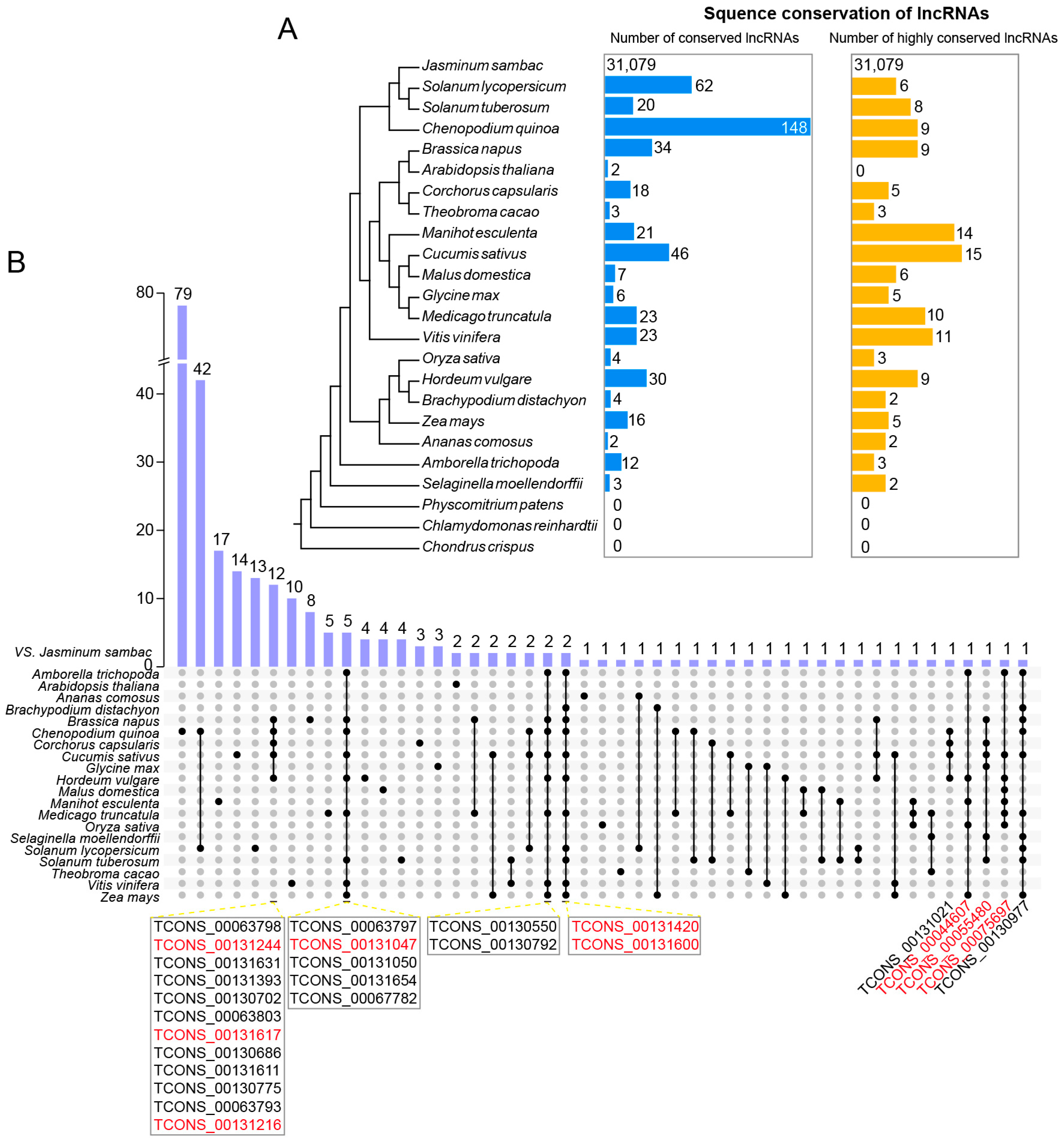 Biomolecules 14 00045 g003