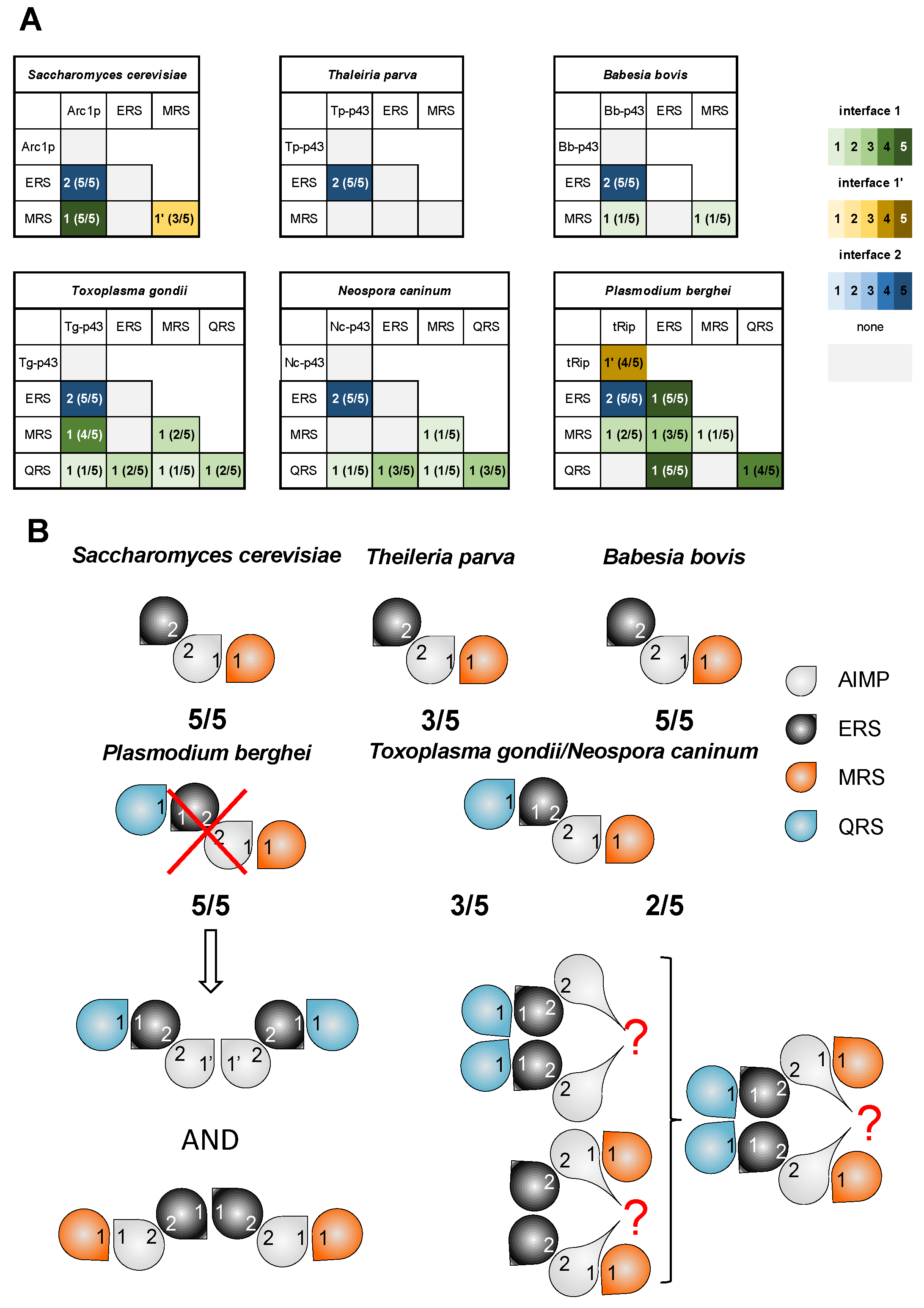 Biomolecules 14 00046 g004
