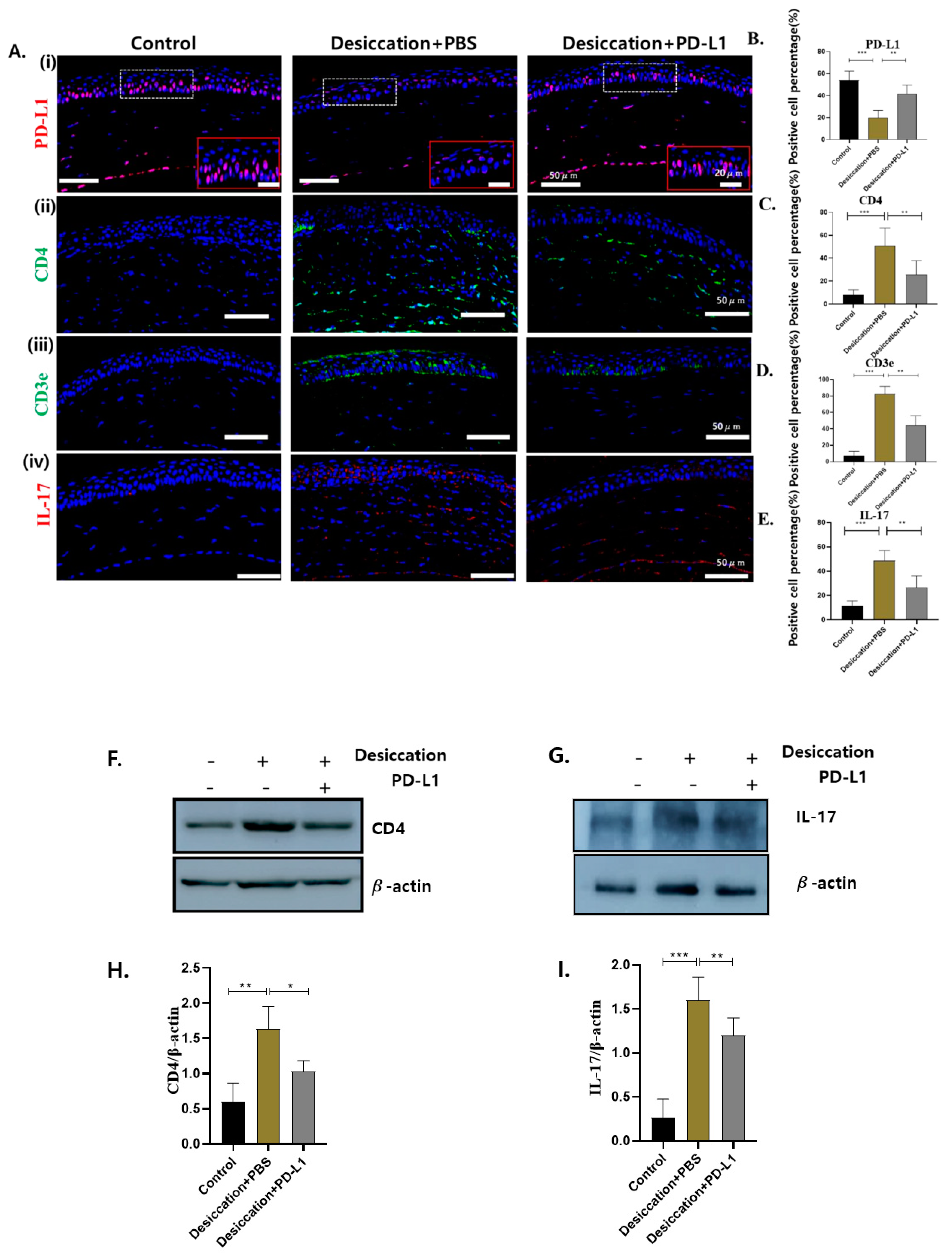 Biomolecules 14 00068 g003