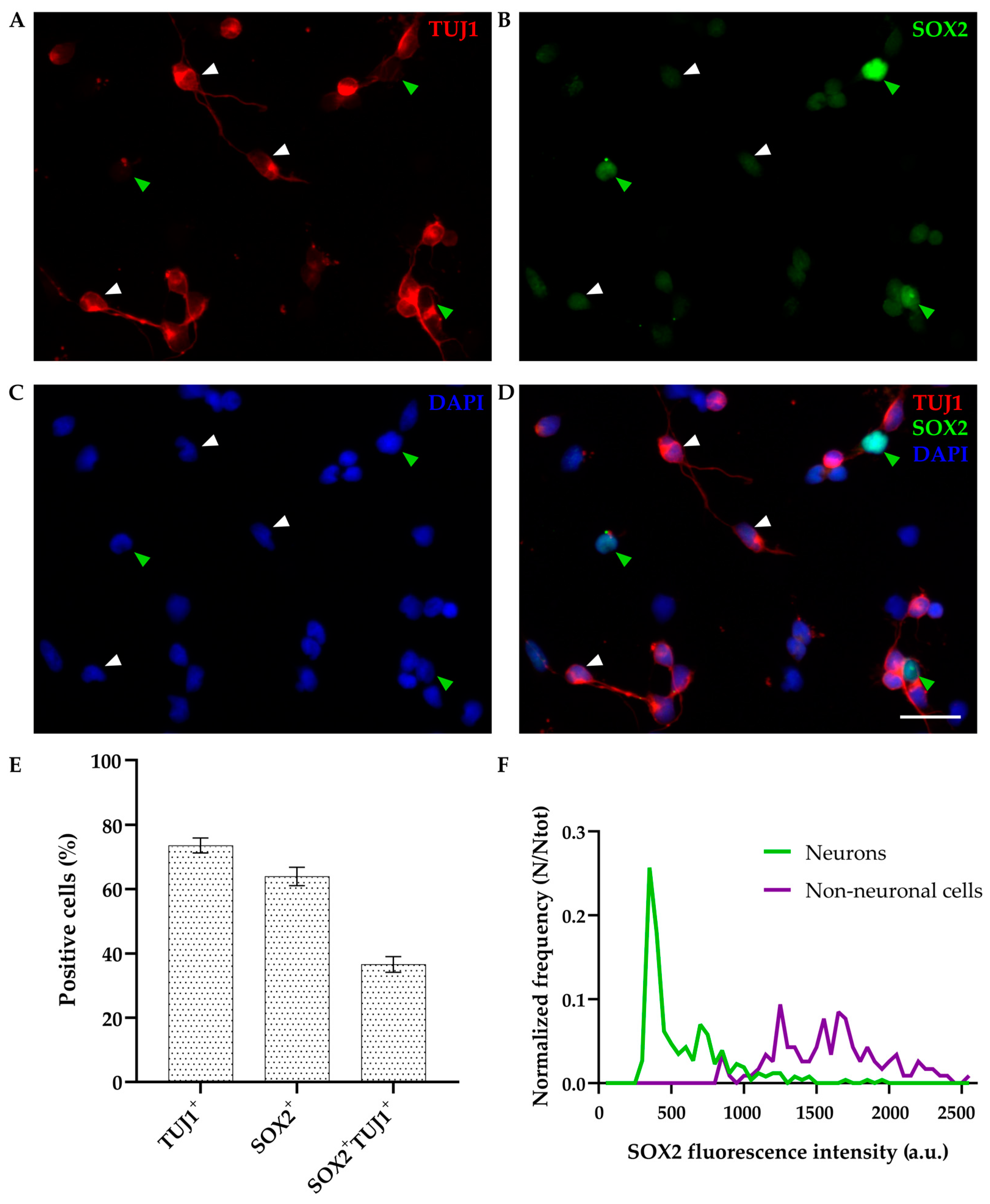 Biomolecules 14 00070 g002 Biomolecules 14 00070 g002