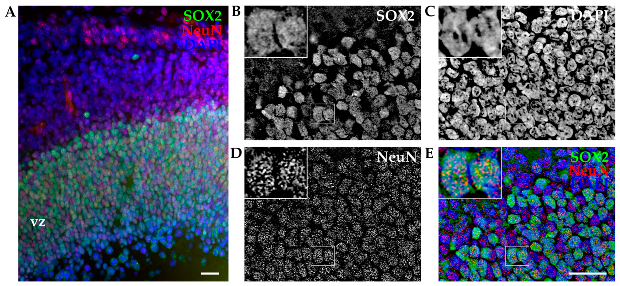 Biomolecules 14 00070 g003 Biomolecules 14 00070 g003