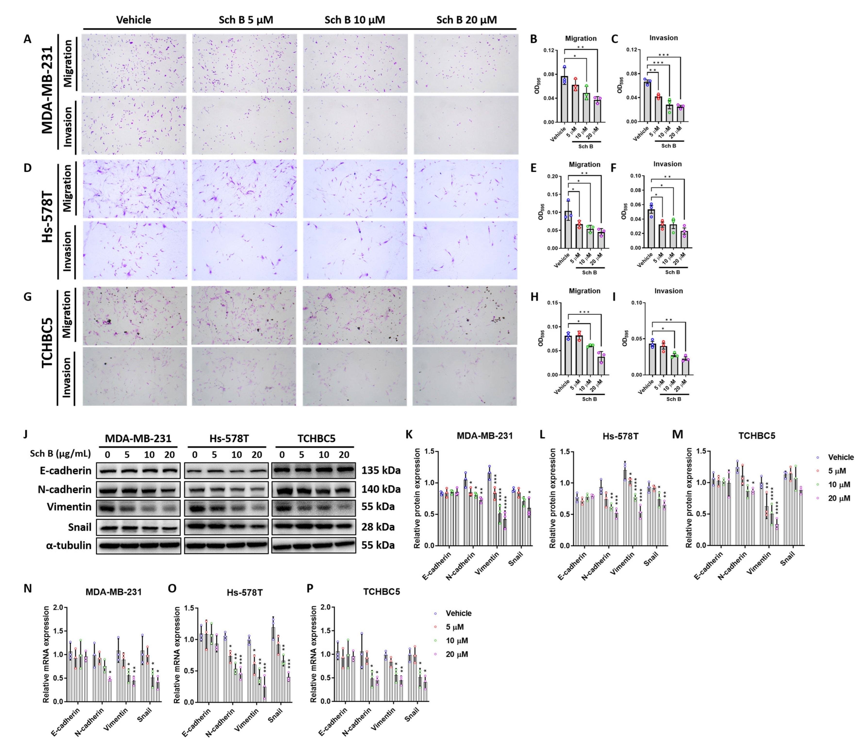 Biomolecules 14 00074 g002