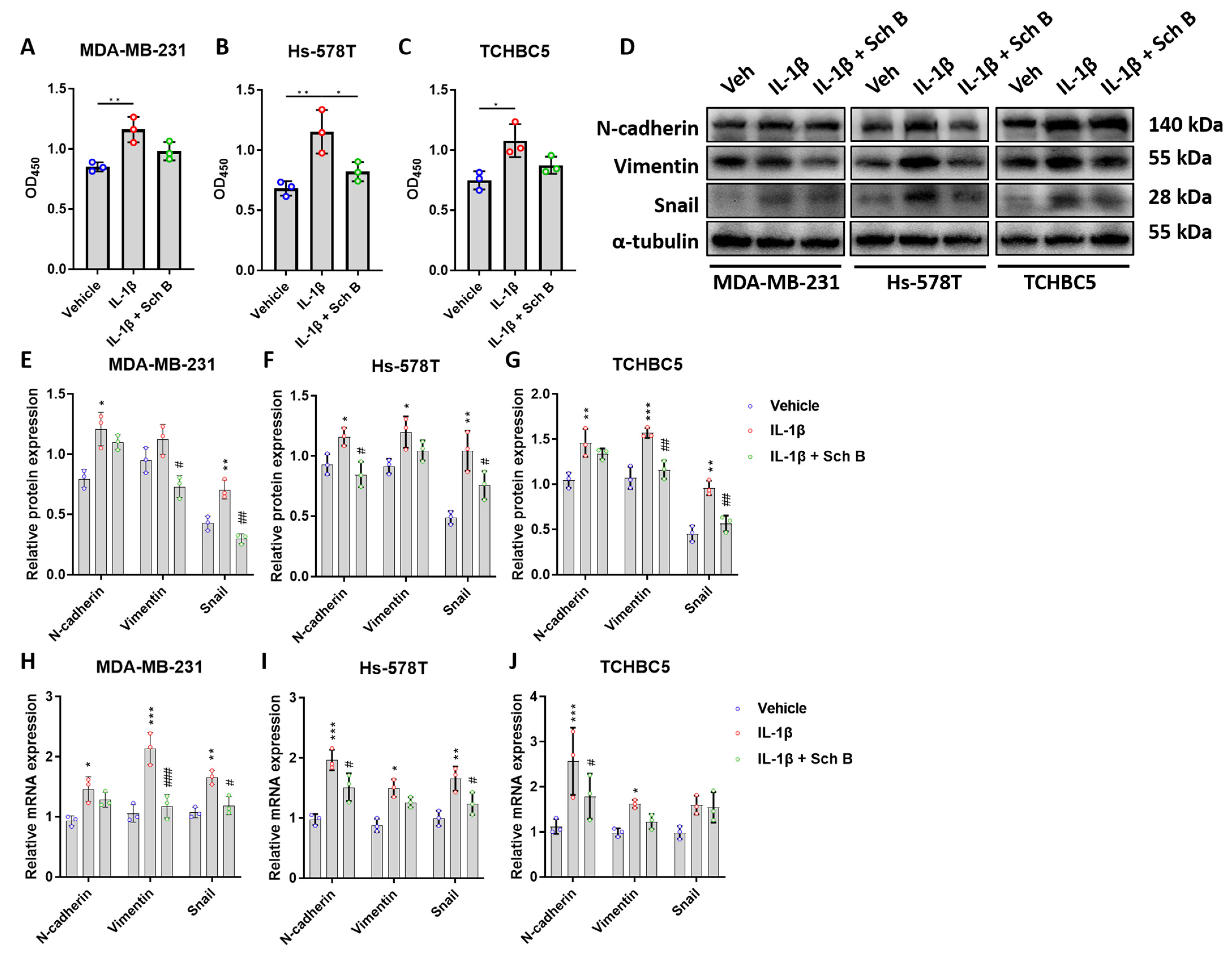 Biomolecules 14 00074 g006