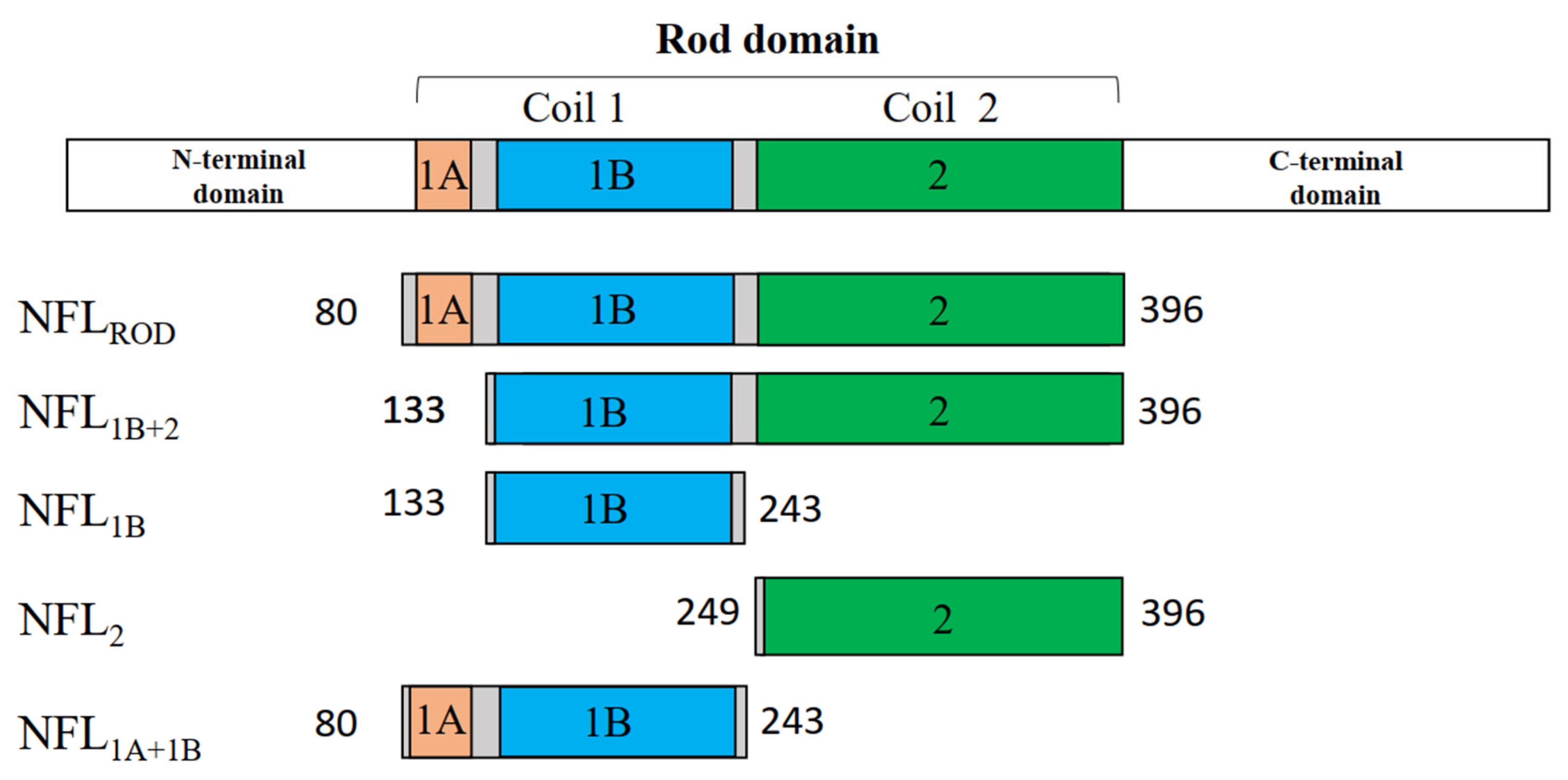 Biomolecules 14 00085 g001