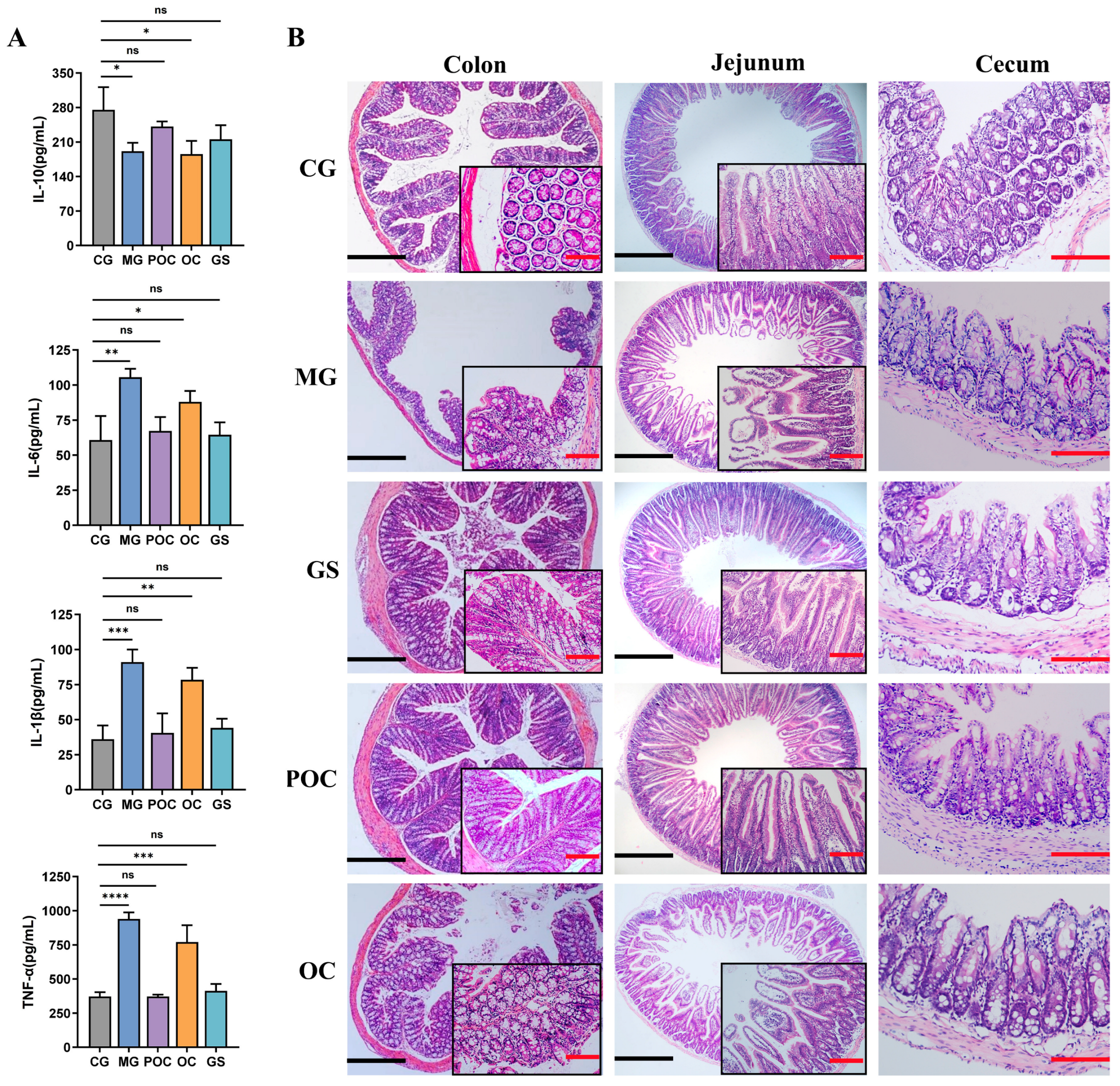 Biomolecules 14 00086 g003