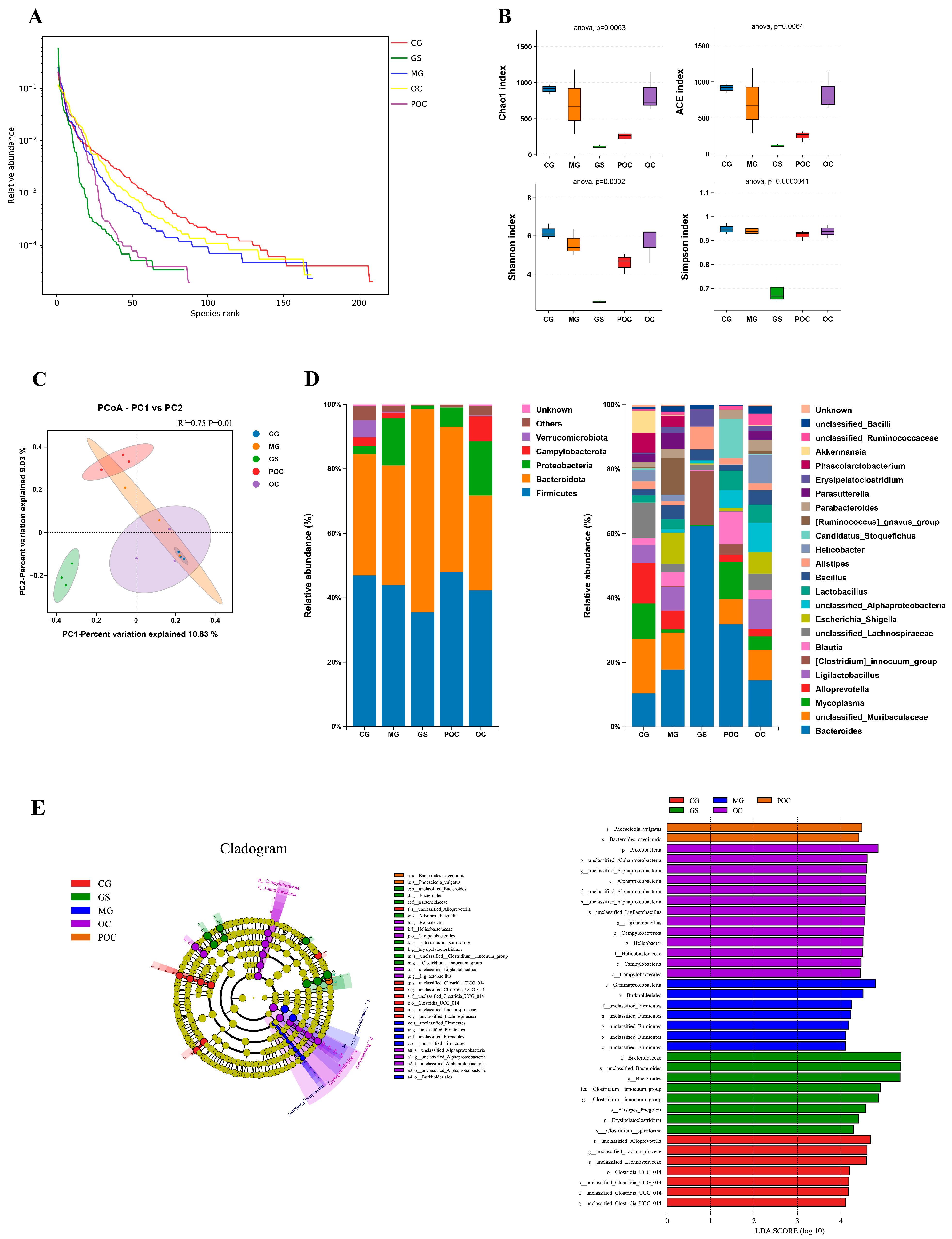 Biomolecules 14 00086 g004