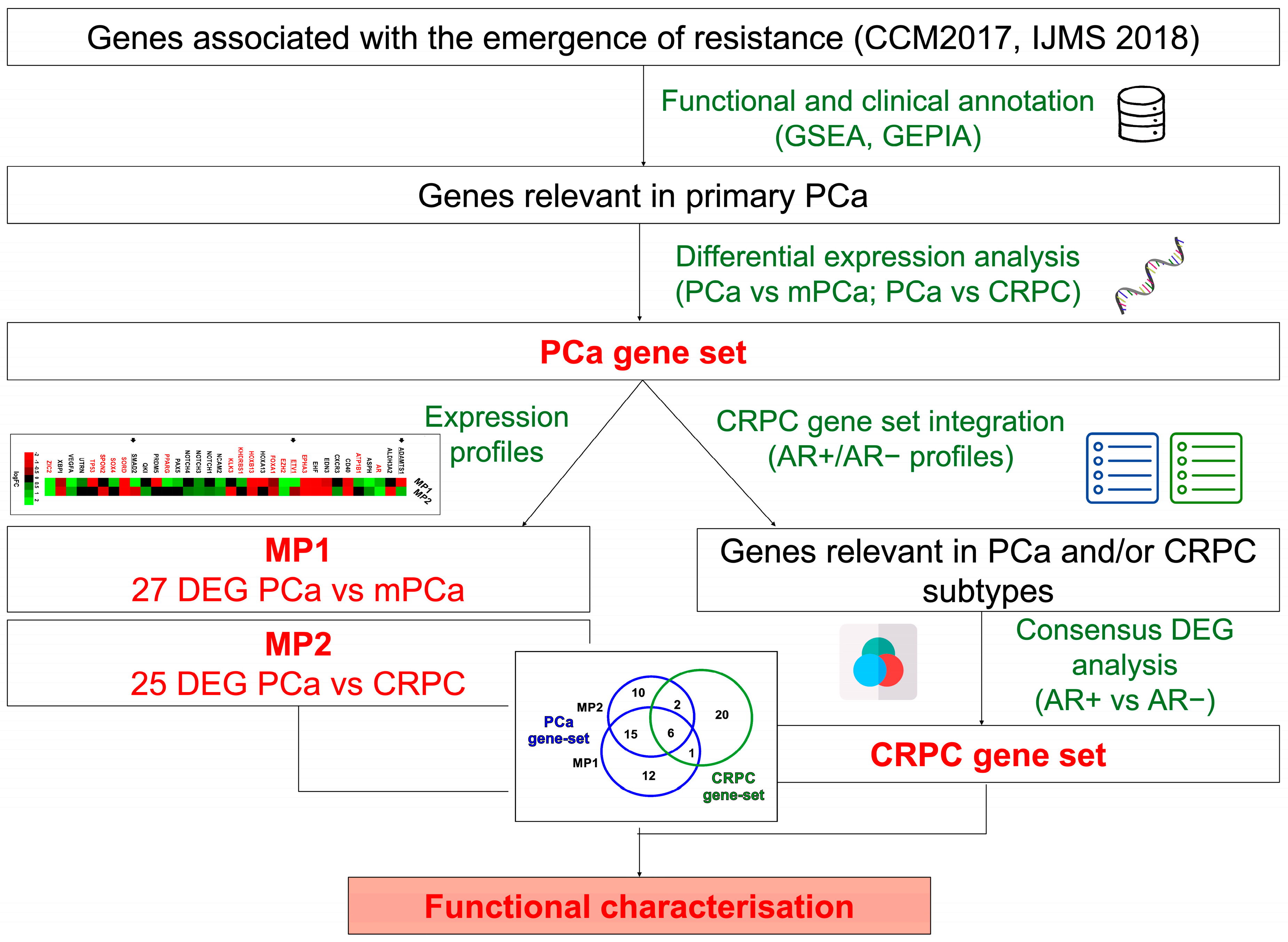 Biomolecules | Free Full-Text | Identification of Molecular 