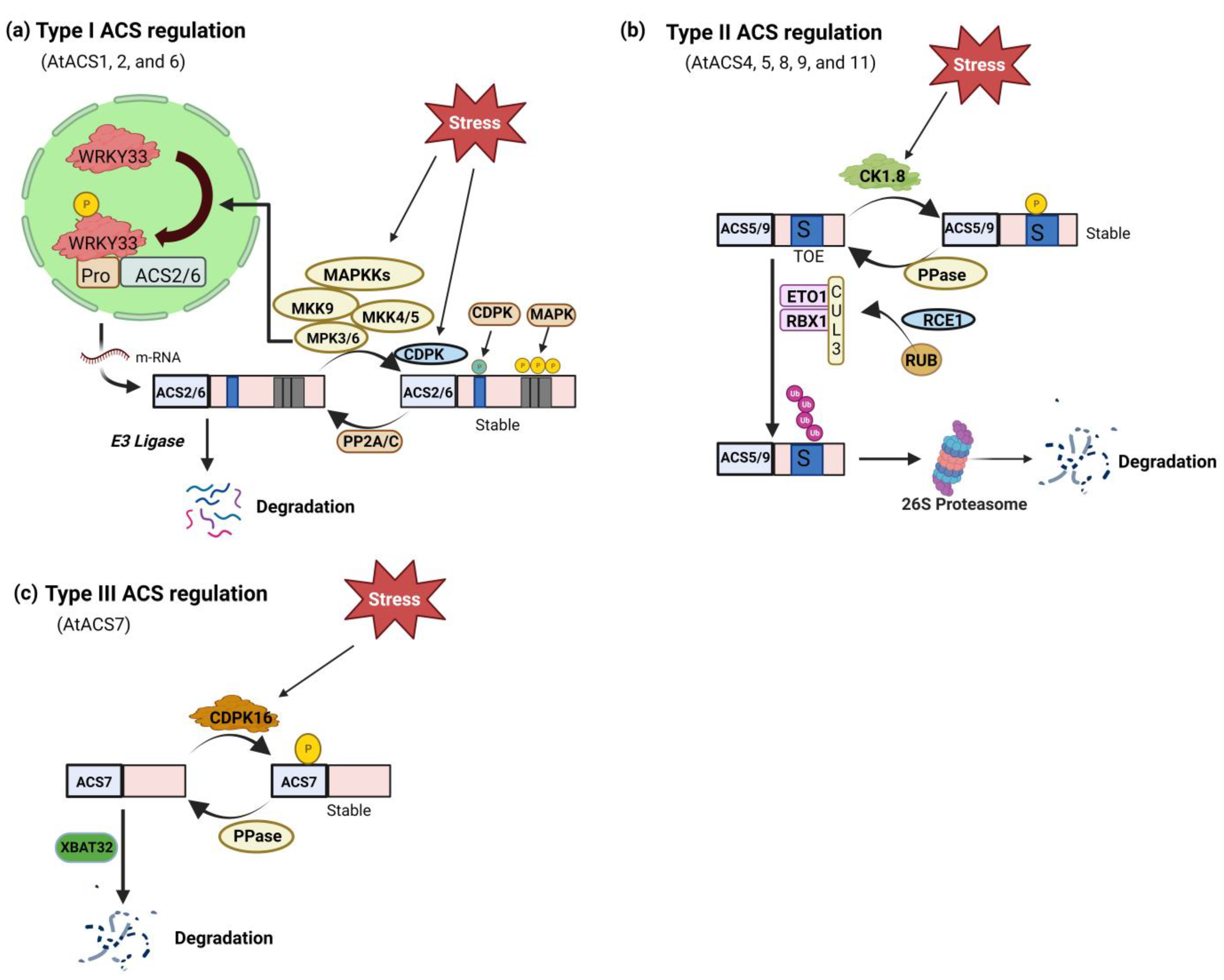 Biomolecules 14 00090 g002 Biomolecules 14 00090 g002